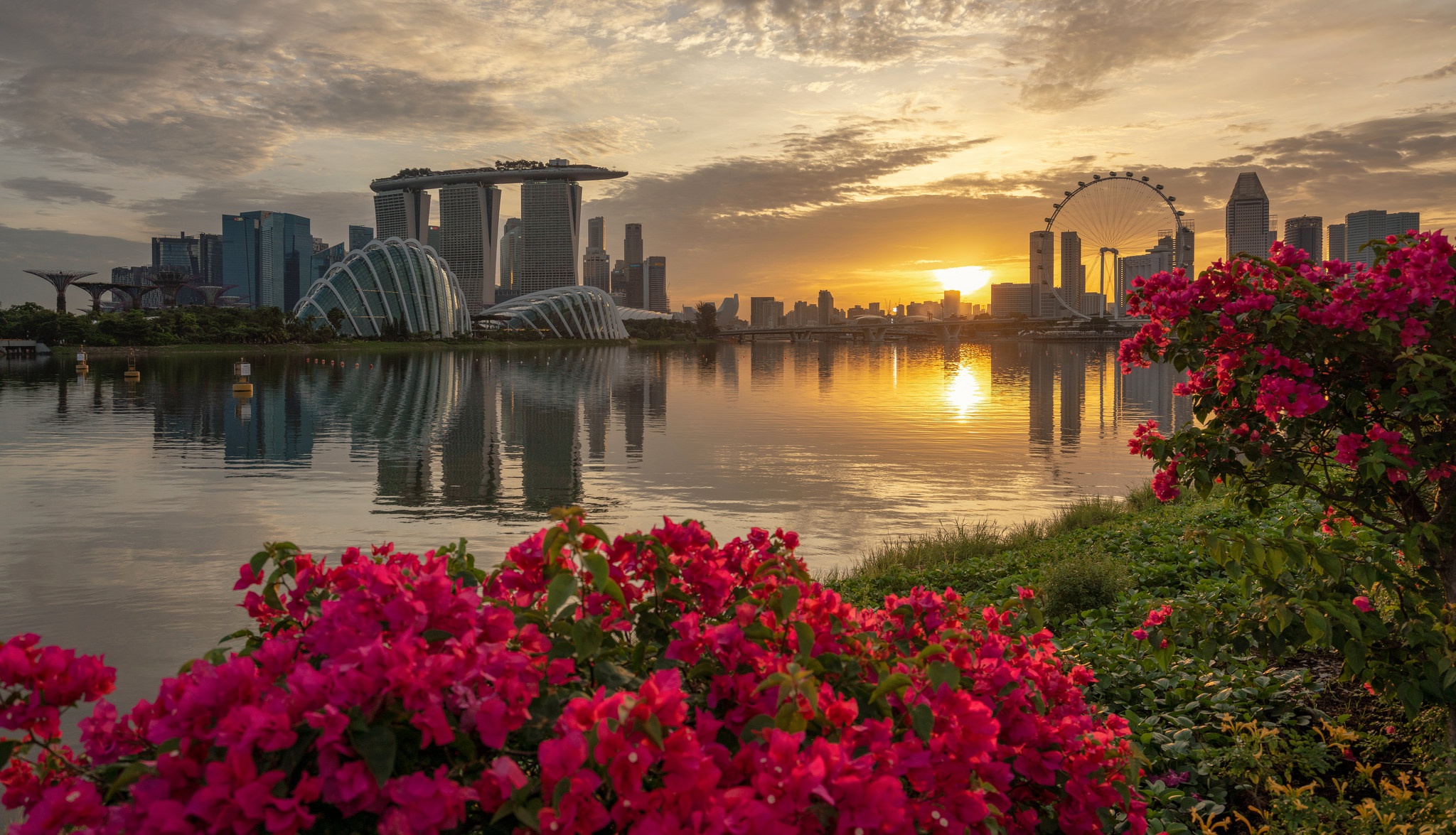Скачати мобільні шпалери Міста, Місто, Будівля, Квітка, Сінгапур, Схід Сонця, Створено Людиною, Рефлексія безкоштовно.