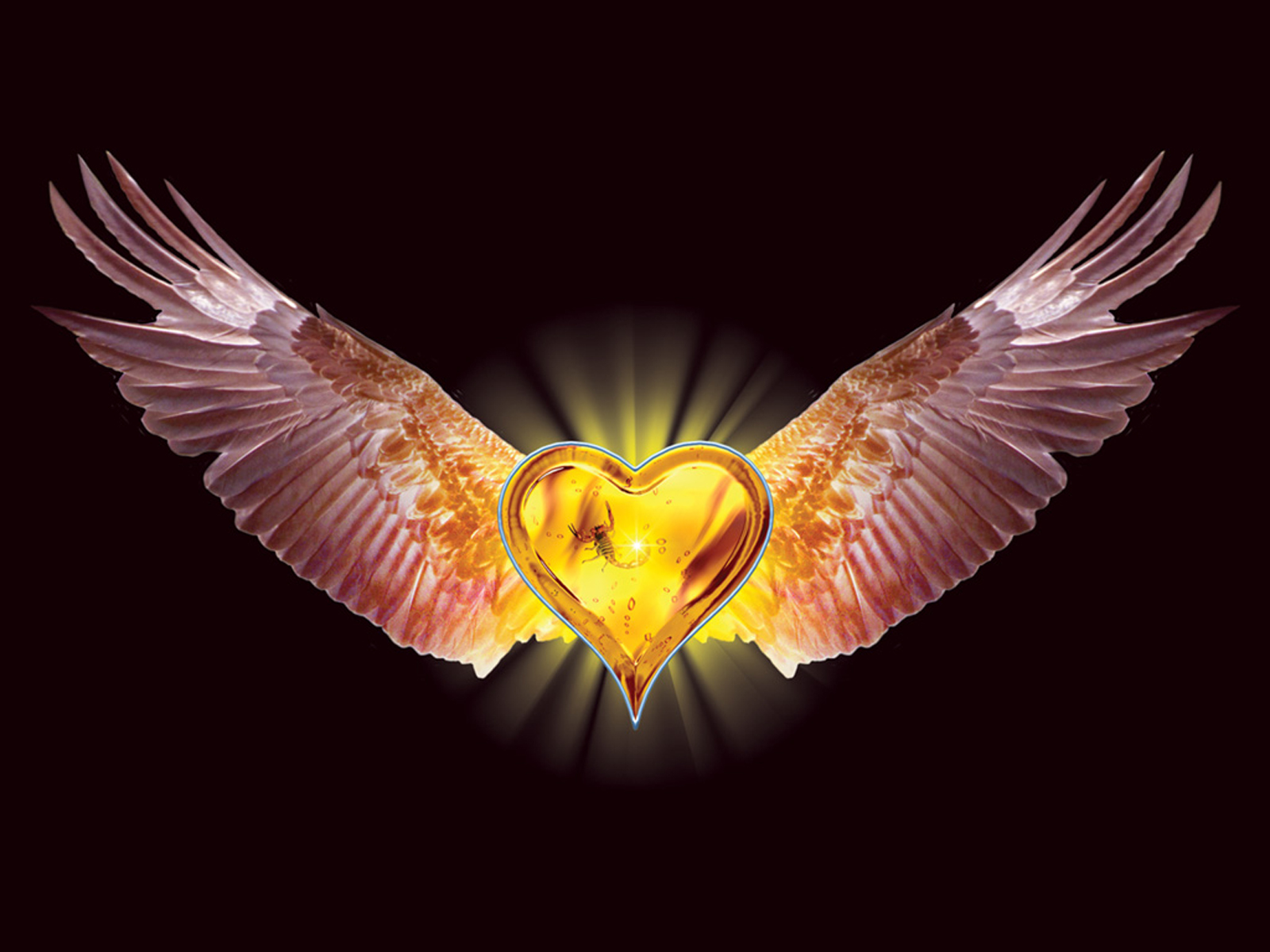holiday, valentine's day, heart, pink, scorpion, wings, yellow