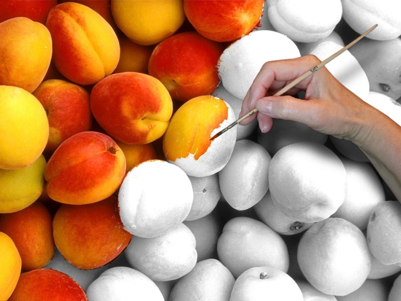 Free HD fruits, food, art photo, peaches
