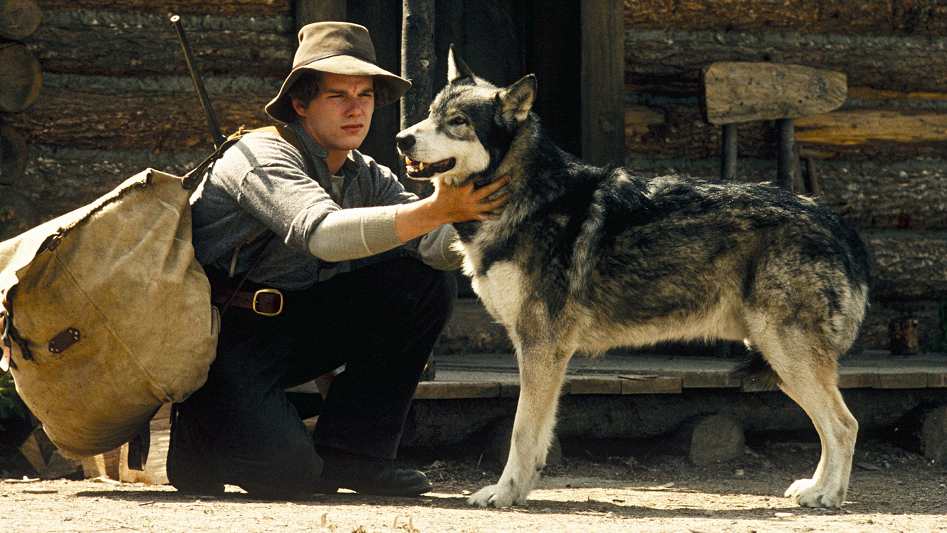 Download mobile wallpaper Movie, Ethan Hawke, White Fang for free.