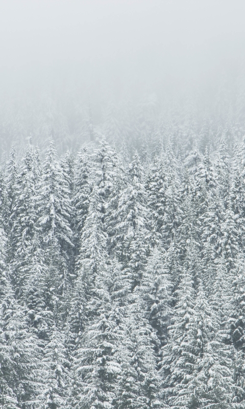 Téléchargez des papiers peints mobile Hiver, Terre/nature gratuitement.