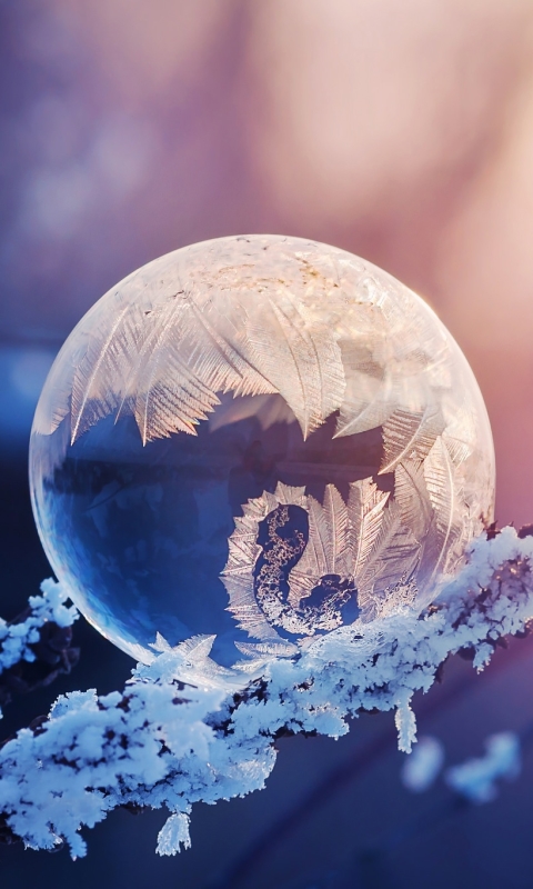 Descarga gratuita de fondo de pantalla para móvil de Invierno, Macro, Congelado, Burbuja, Tierra/naturaleza, Frozen: El Reino Del Hielo, Macrofotografía.