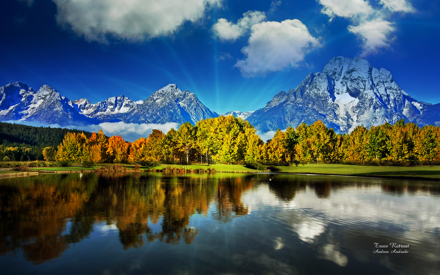 Free download wallpaper Landscape, Lake, Tree, Earth on your PC desktop