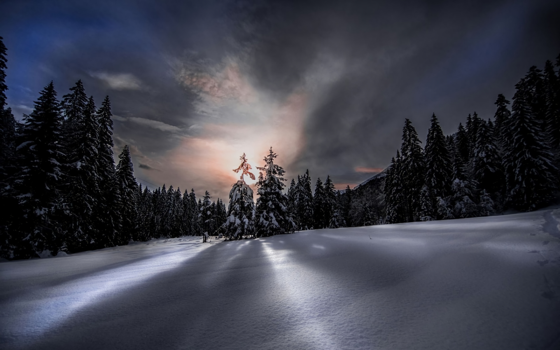 Téléchargez gratuitement l'image Hiver, Nuit, Forêt, Arbre, Ciel, Terre/nature sur le bureau de votre PC