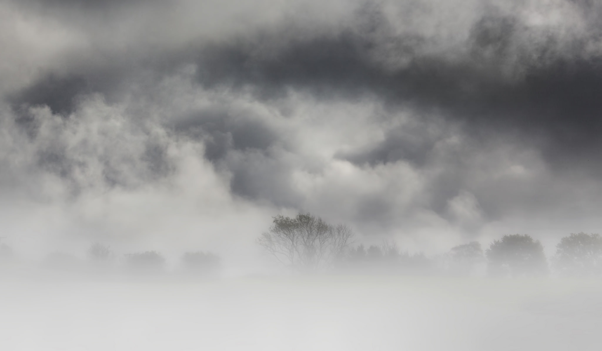 Descarga gratis la imagen Naturaleza, Árbol, Niebla, Nube, Tierra/naturaleza en el escritorio de tu PC