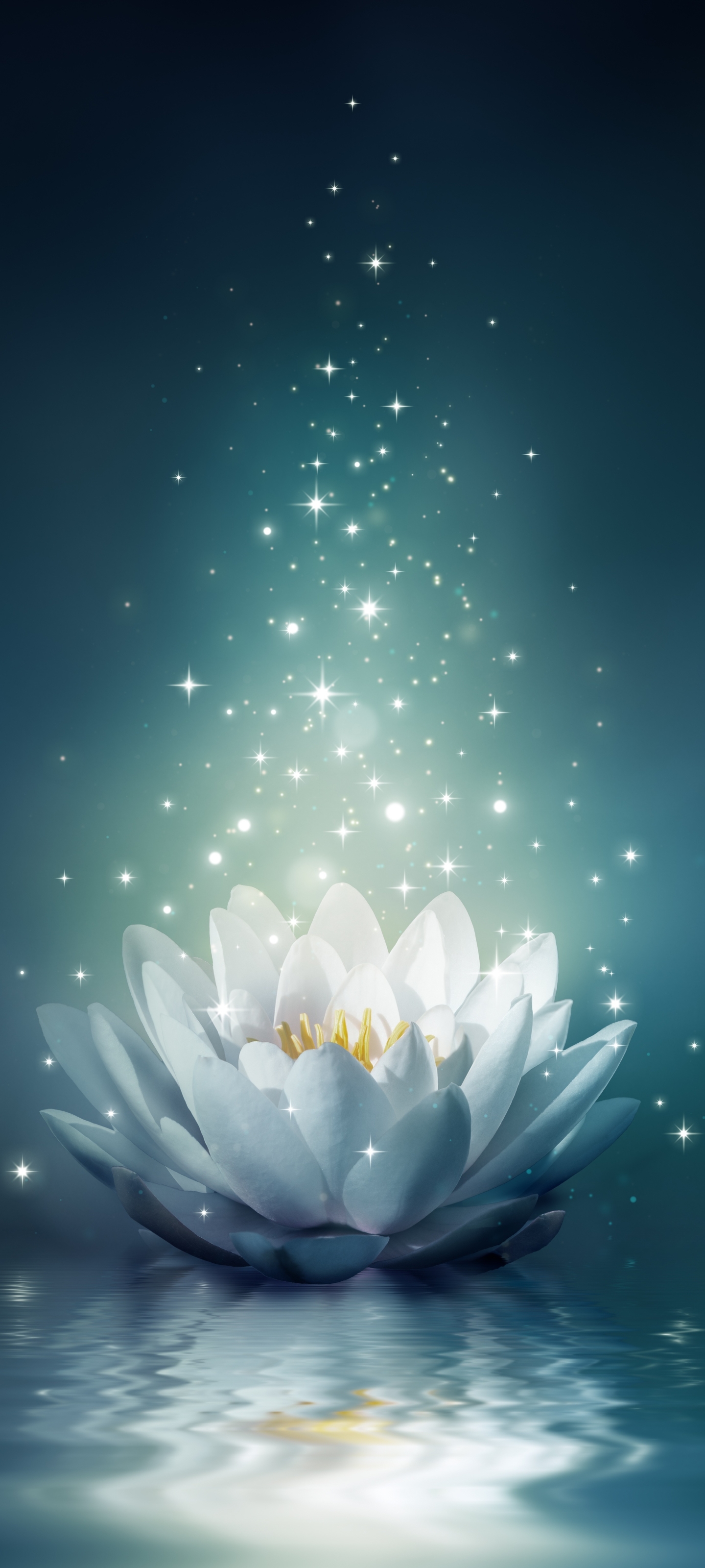 Download mobile wallpaper Flowers, Water, Flower, Light, Artistic, Water Lily for free.