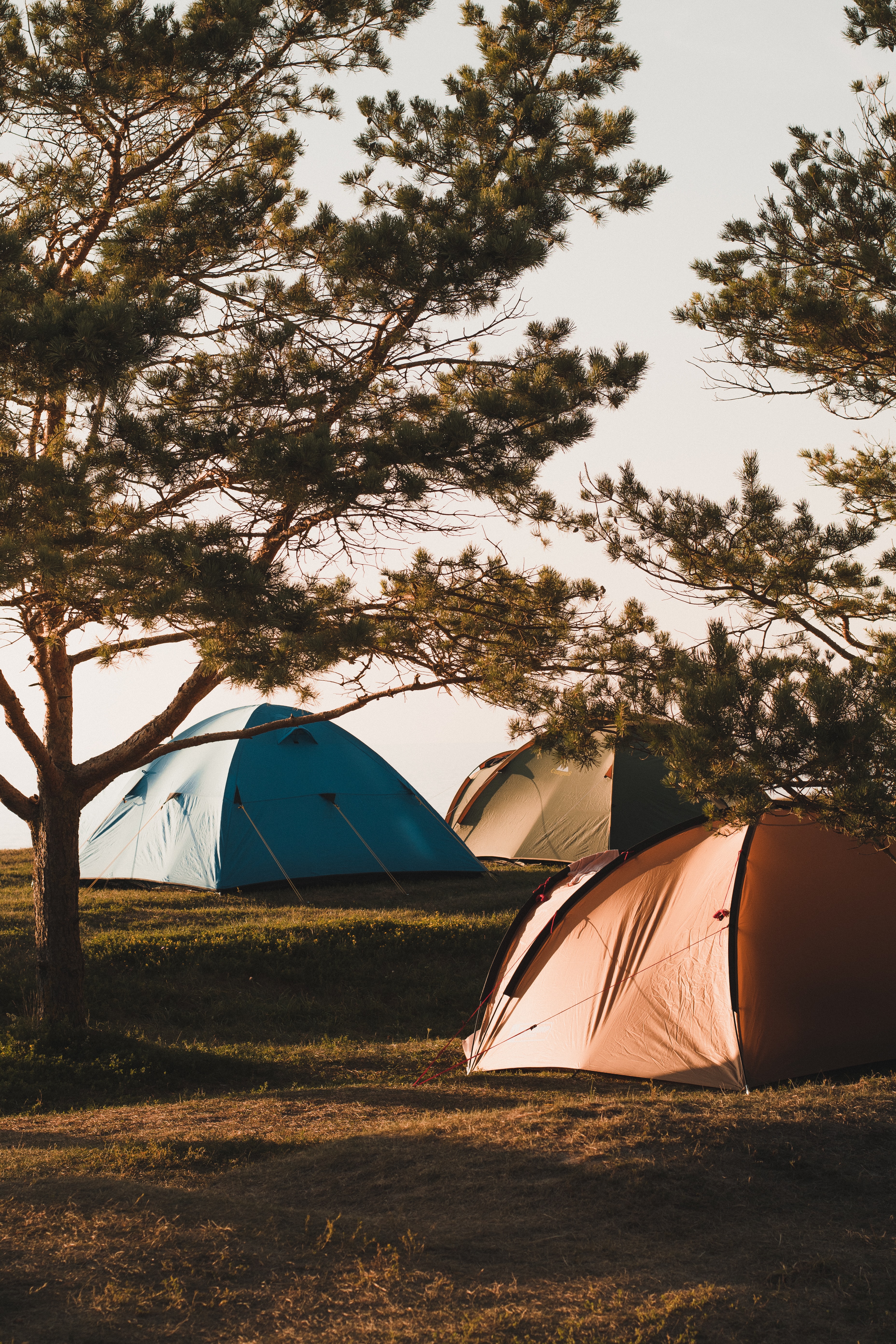 136593 descargar fondo de pantalla camping, reposo, carpas, naturaleza, árboles, relajación, cámping, tiendas: protectores de pantalla e imágenes gratis