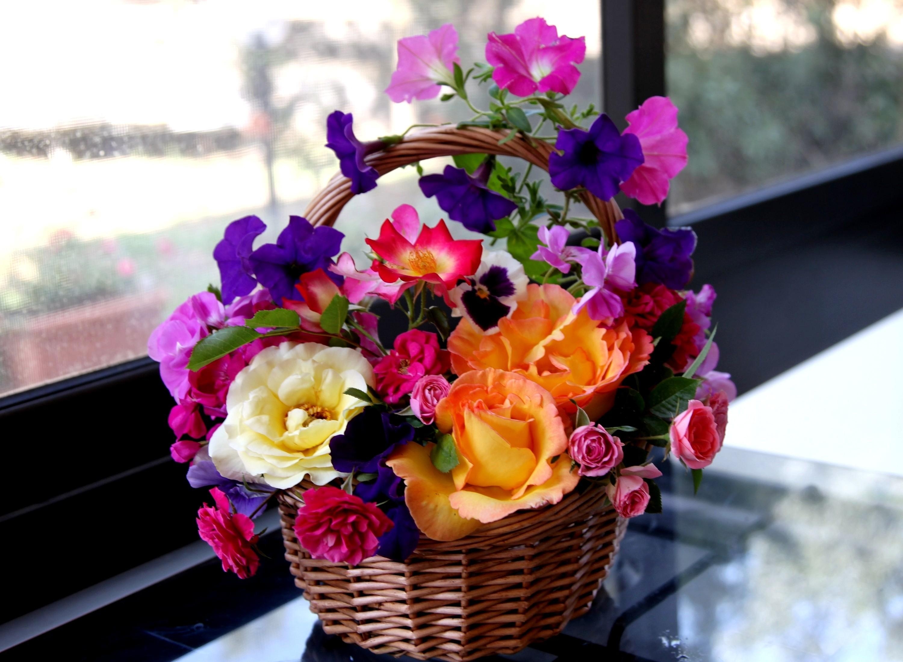 flowers, roses, pansies, basket, composition, petunia