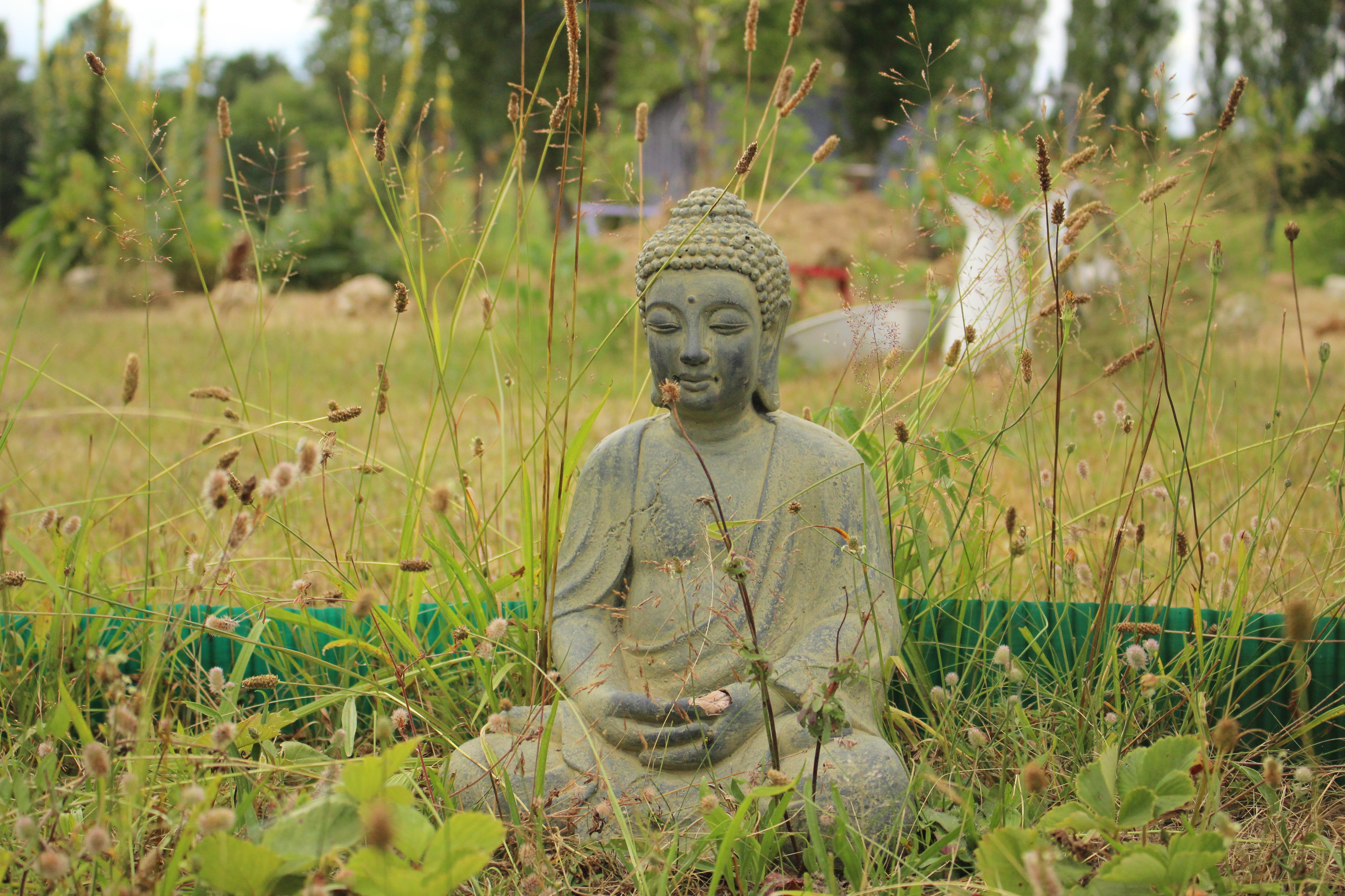 145073 Hintergrundbild herunterladen buddha, sonstige, meditation, buddhismus, grass, verschiedenes - Bildschirmschoner und Bilder kostenlos