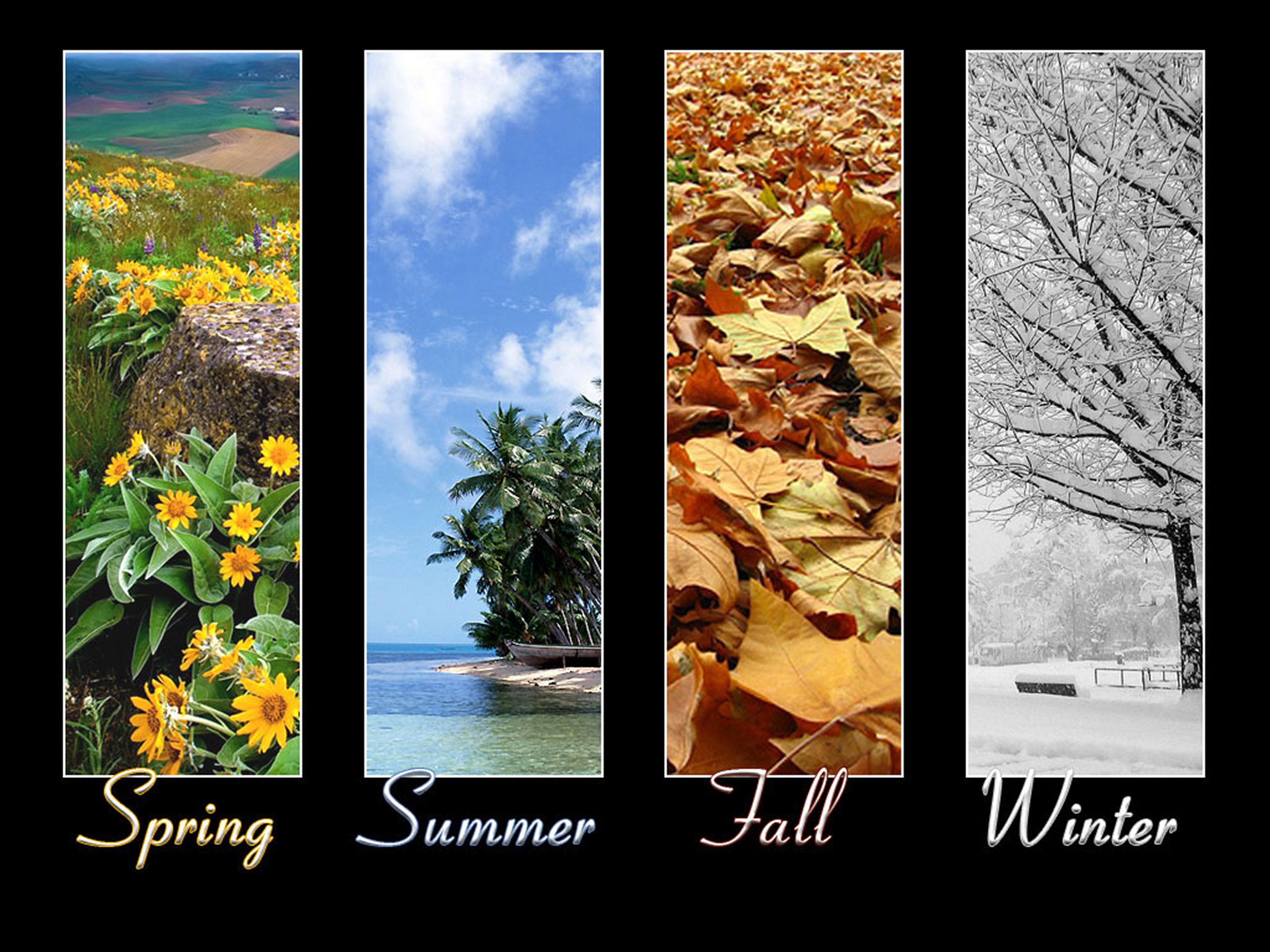 PCデスクトップに冬, 秋, 夏, 地球, コラージュ, 春, シーズン画像を無料でダウンロード