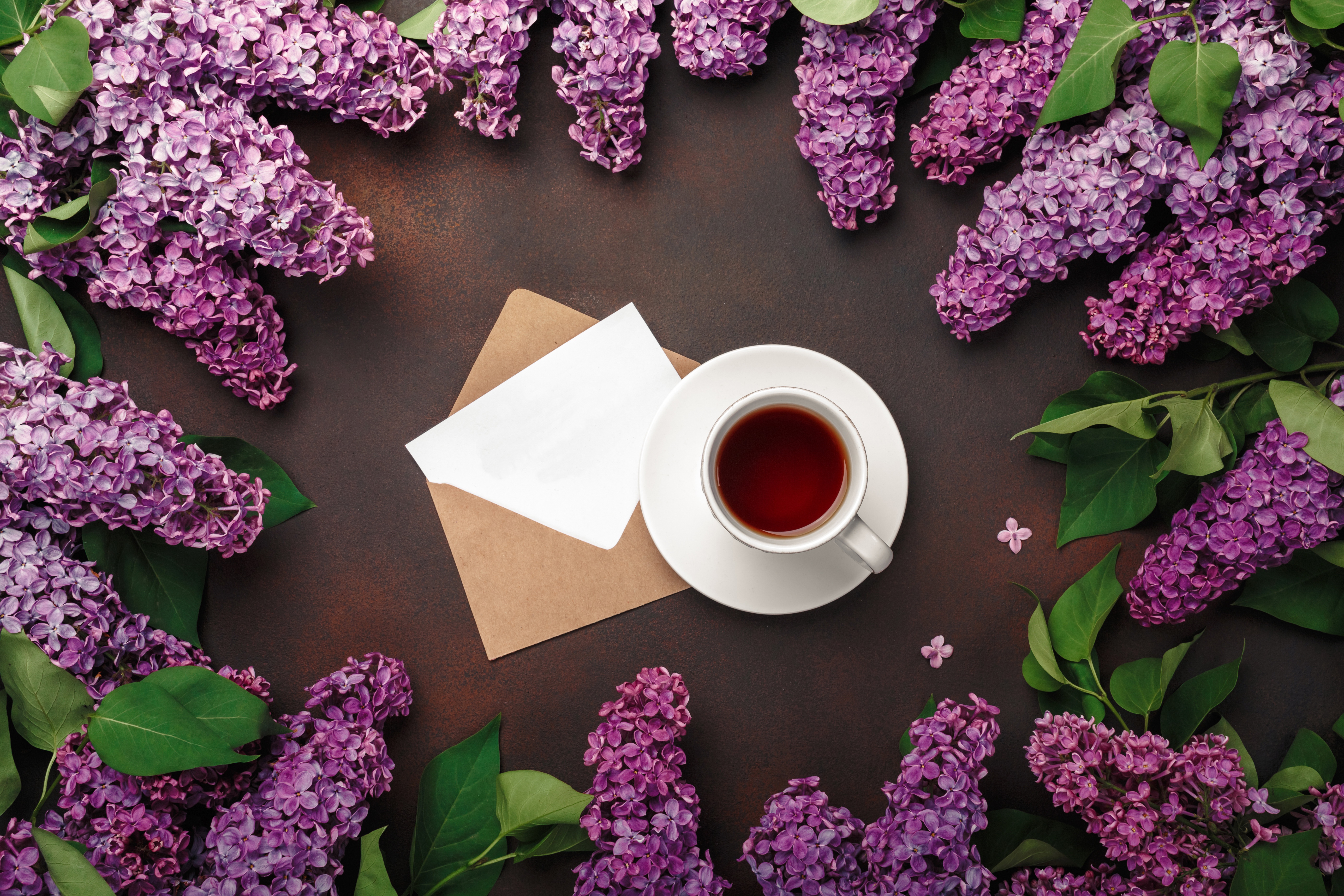 無料モバイル壁紙ライラック, カップ, 花, お茶, 飲む, 食べ物, 紫色の花をダウンロードします。