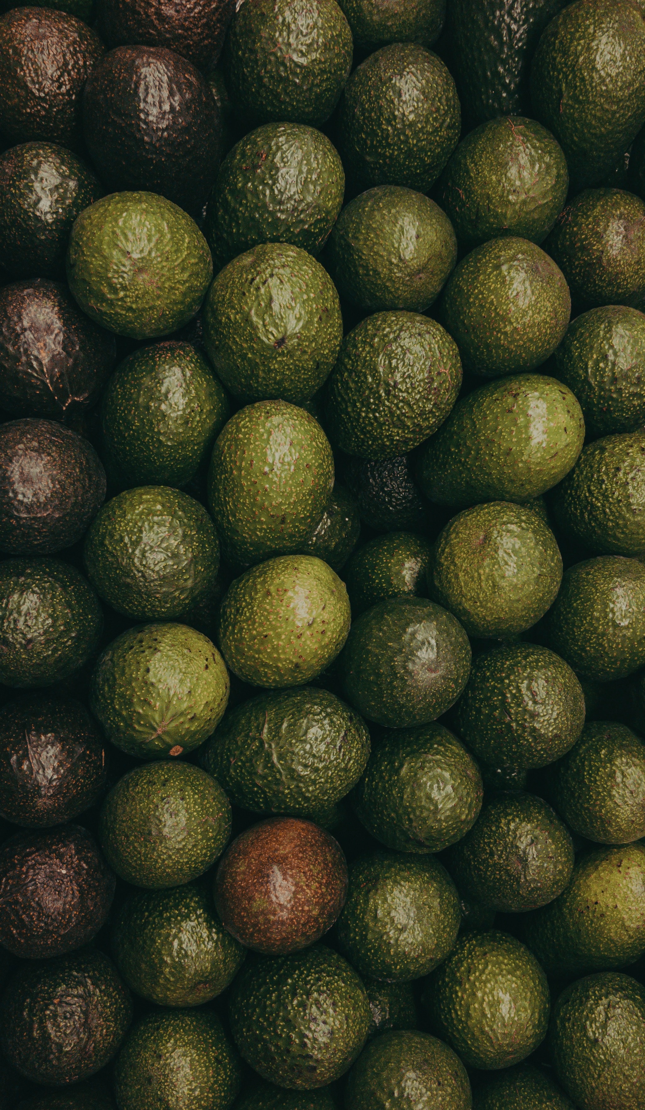 Free download wallpaper Textures, Fruits, Texture, Avocado on your PC desktop