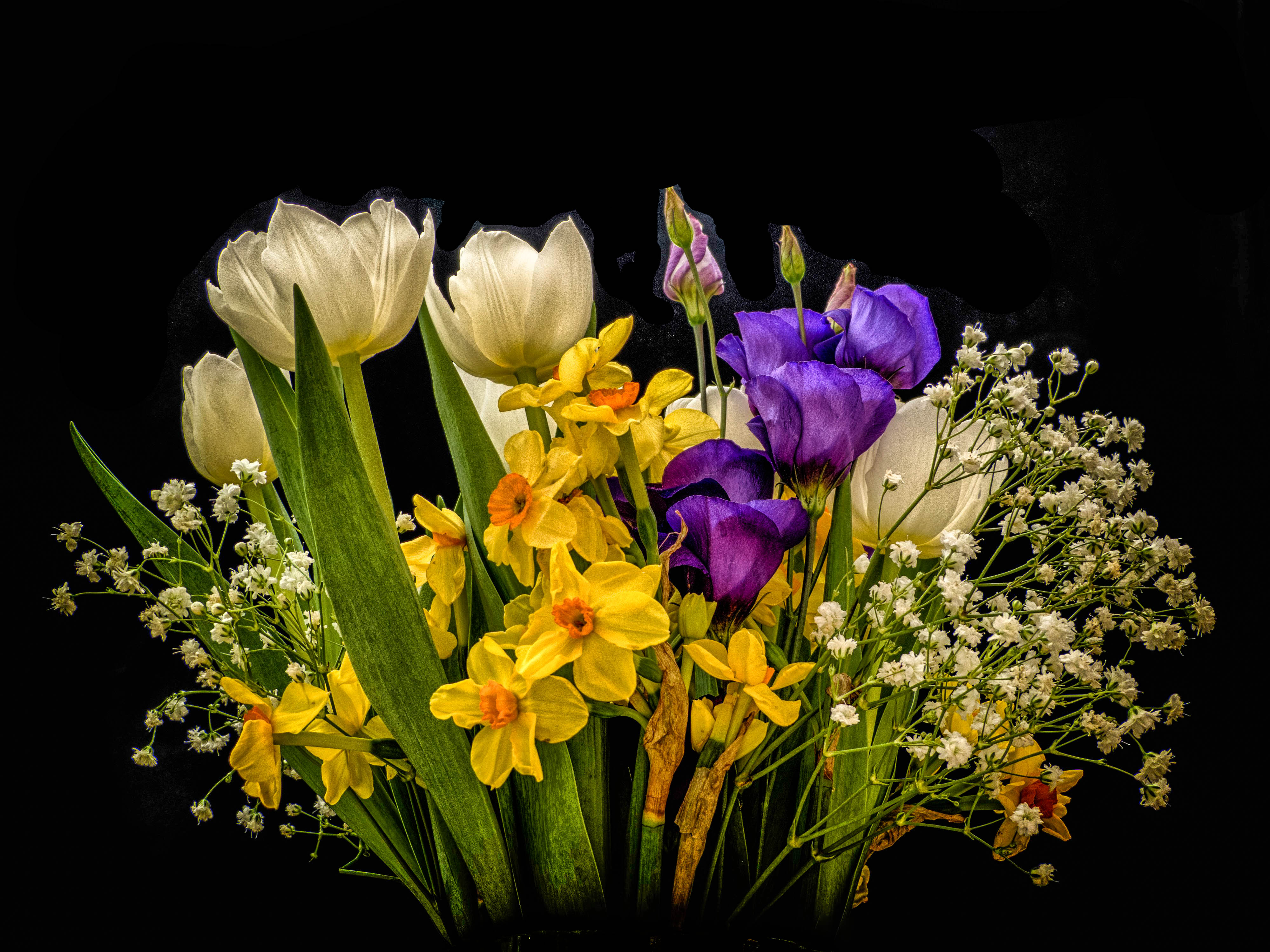 Скачати мобільні шпалери Квітка, Земля, Весна, Нарцис, Тюльпан, Кольори безкоштовно.