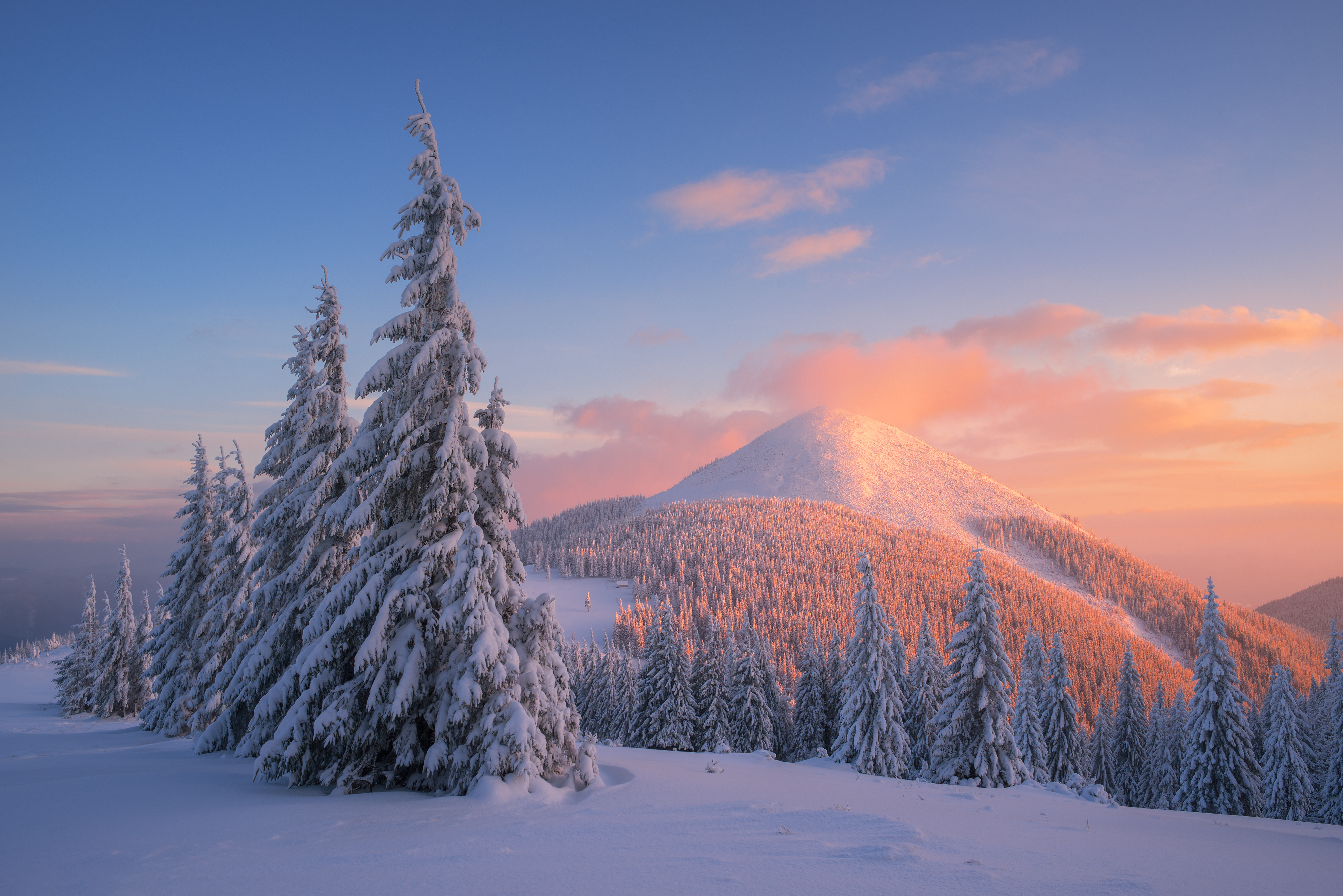 Download mobile wallpaper Winter, Sunset, Snow, Forest, Tree, Earth for free.