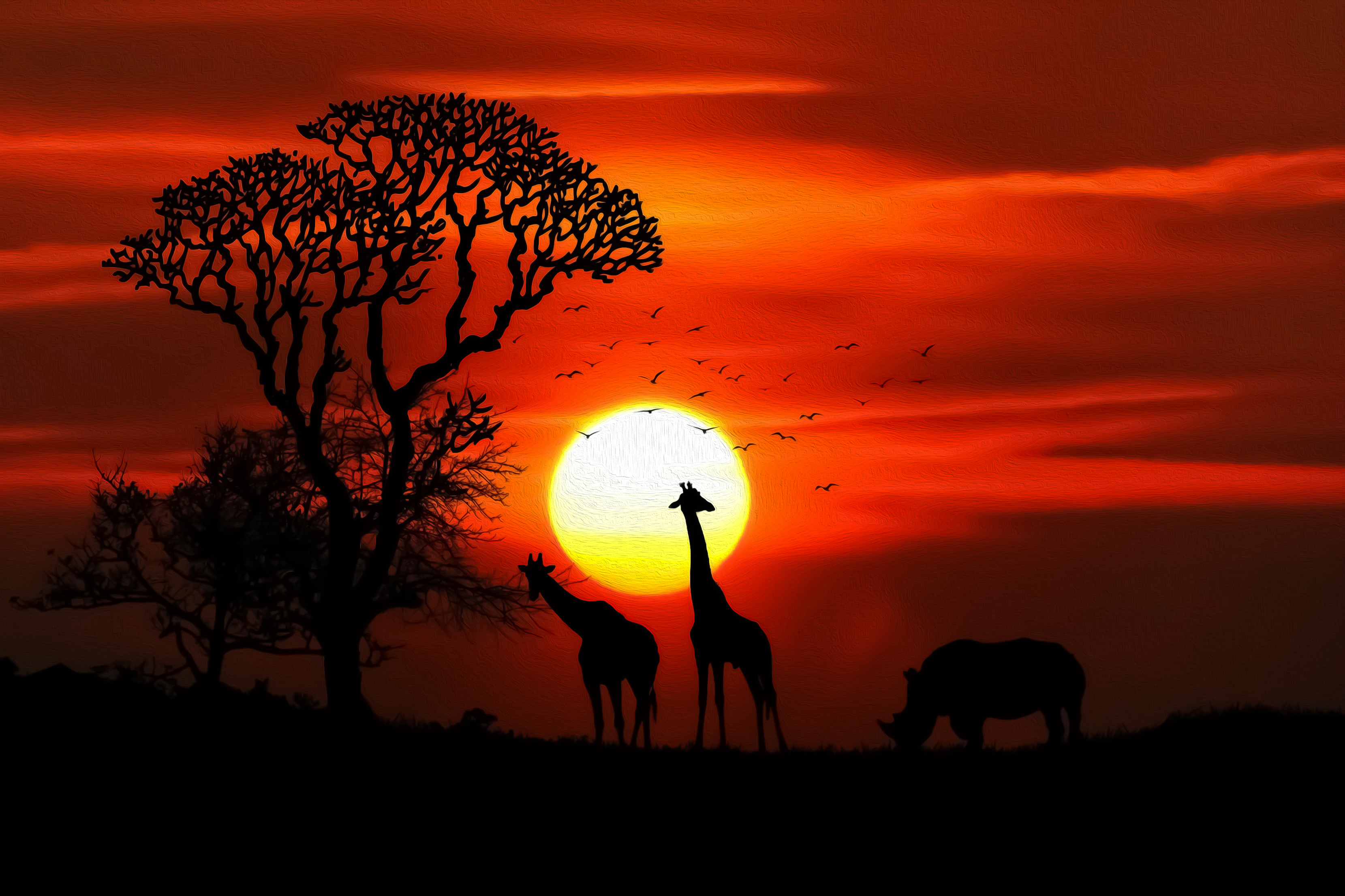 Handy-Wallpaper Silhouette, Giraffe, Sonnenuntergang, Künstlerisch kostenlos herunterladen.
