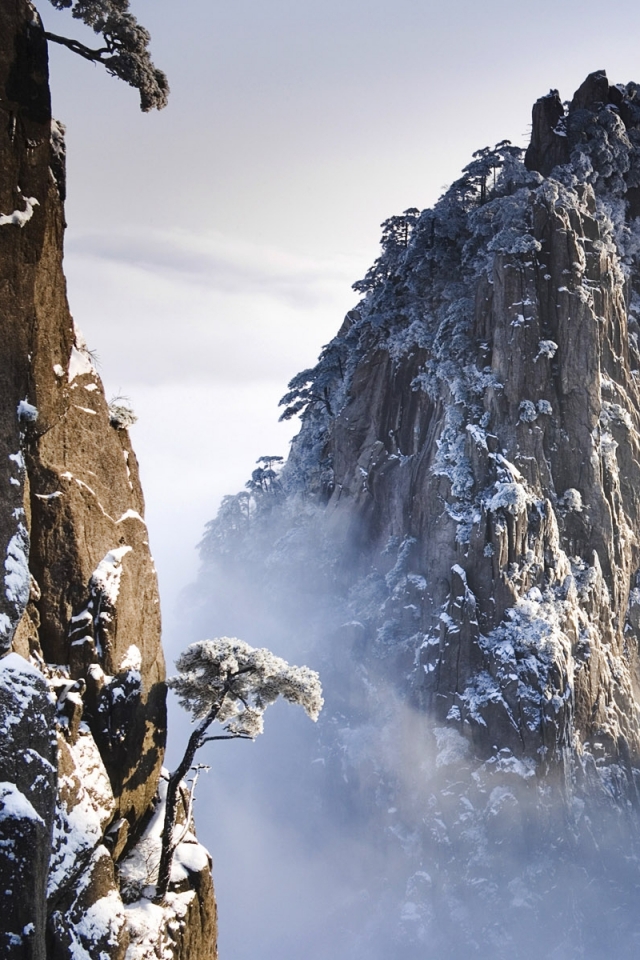 Скачать картинку Горы, Снег, Гора, Дерево, Земля/природа в телефон бесплатно.