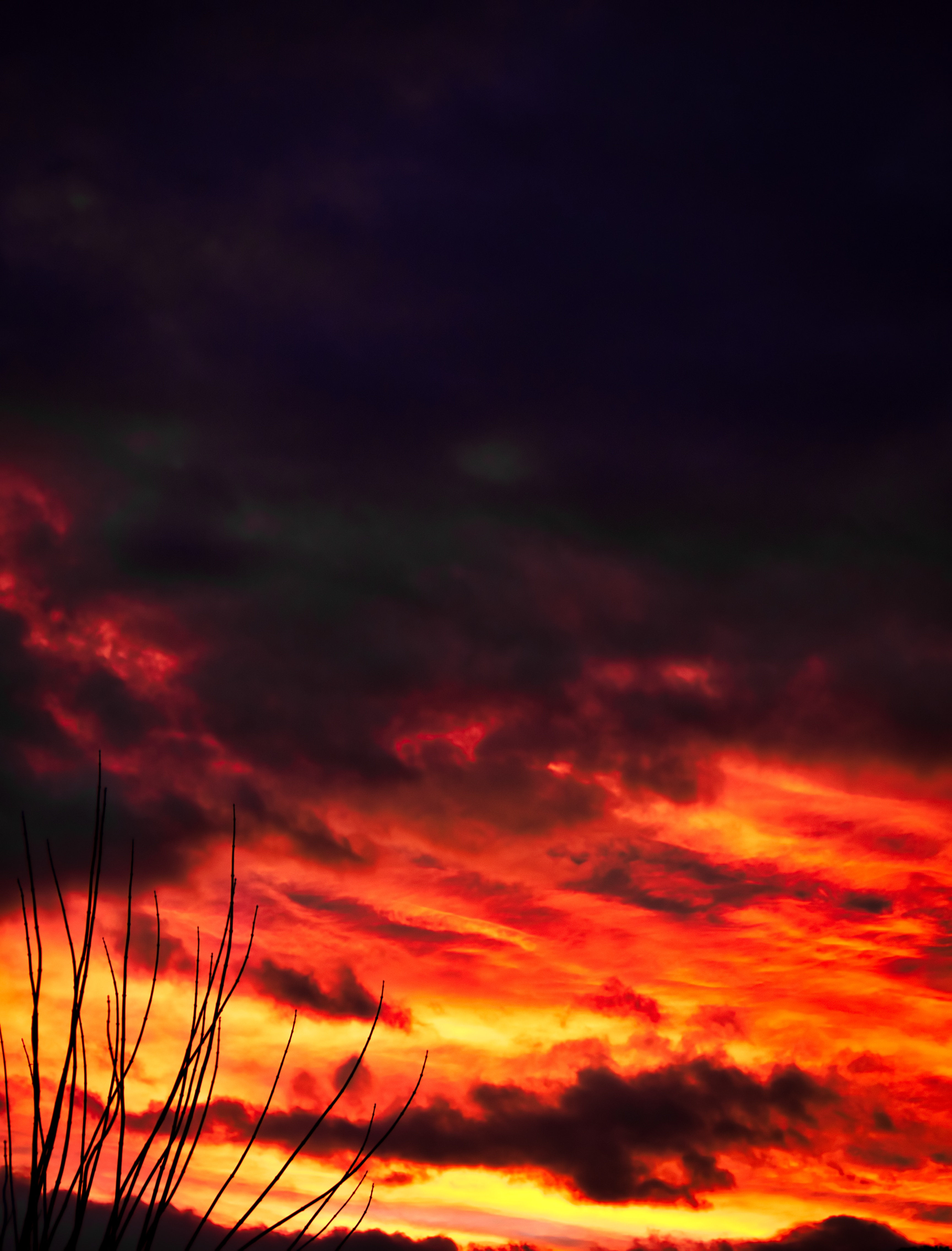 Download mobile wallpaper Branches, Clouds, Sky, Nature, Sunset for free.