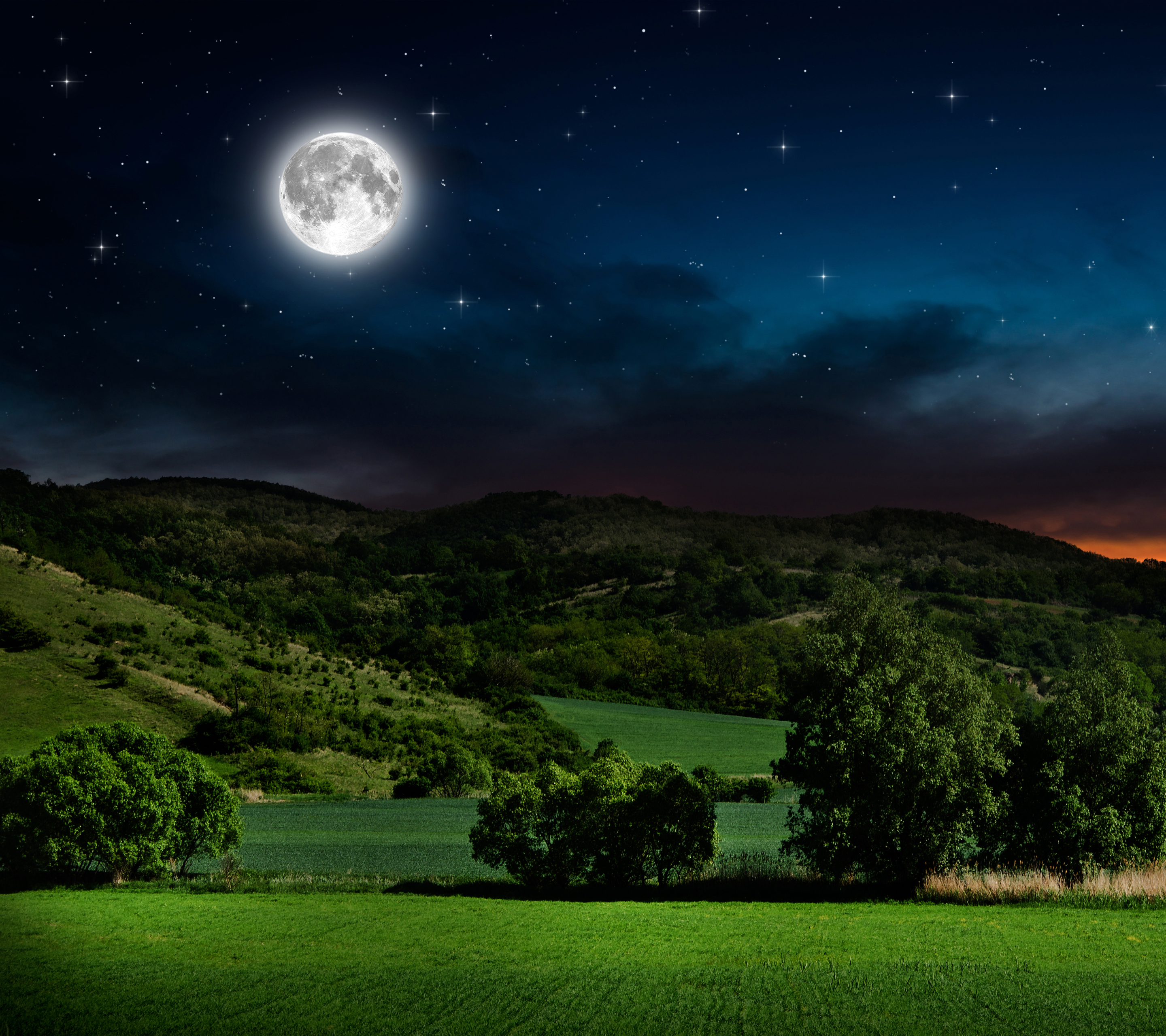 Download mobile wallpaper Sky, Night, Moon, Starry Sky, Earth, Field for free.
