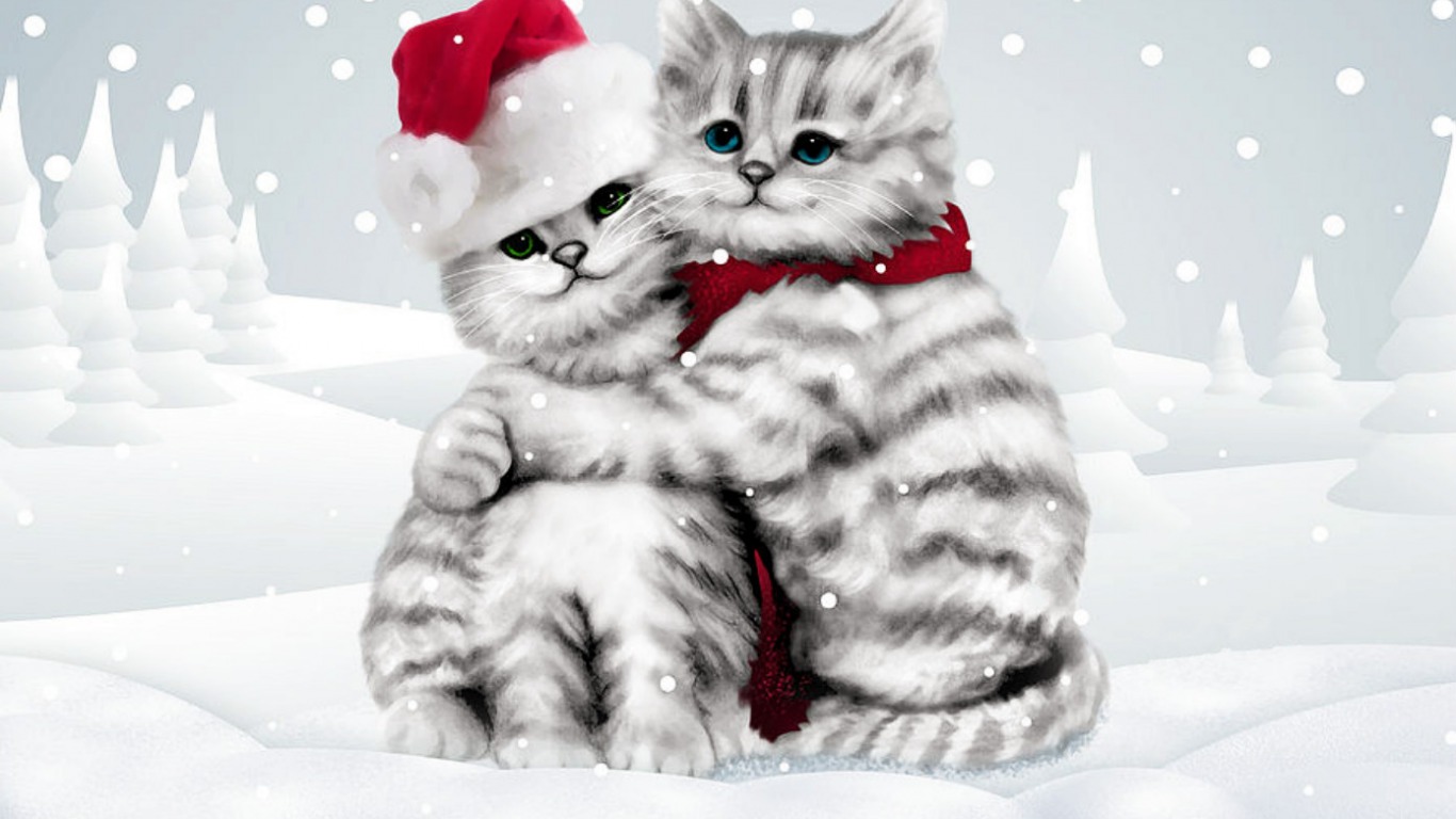 Скачать картинку Рождество, Кошка, Зима, Животные, Кошки, Милые в телефон бесплатно.