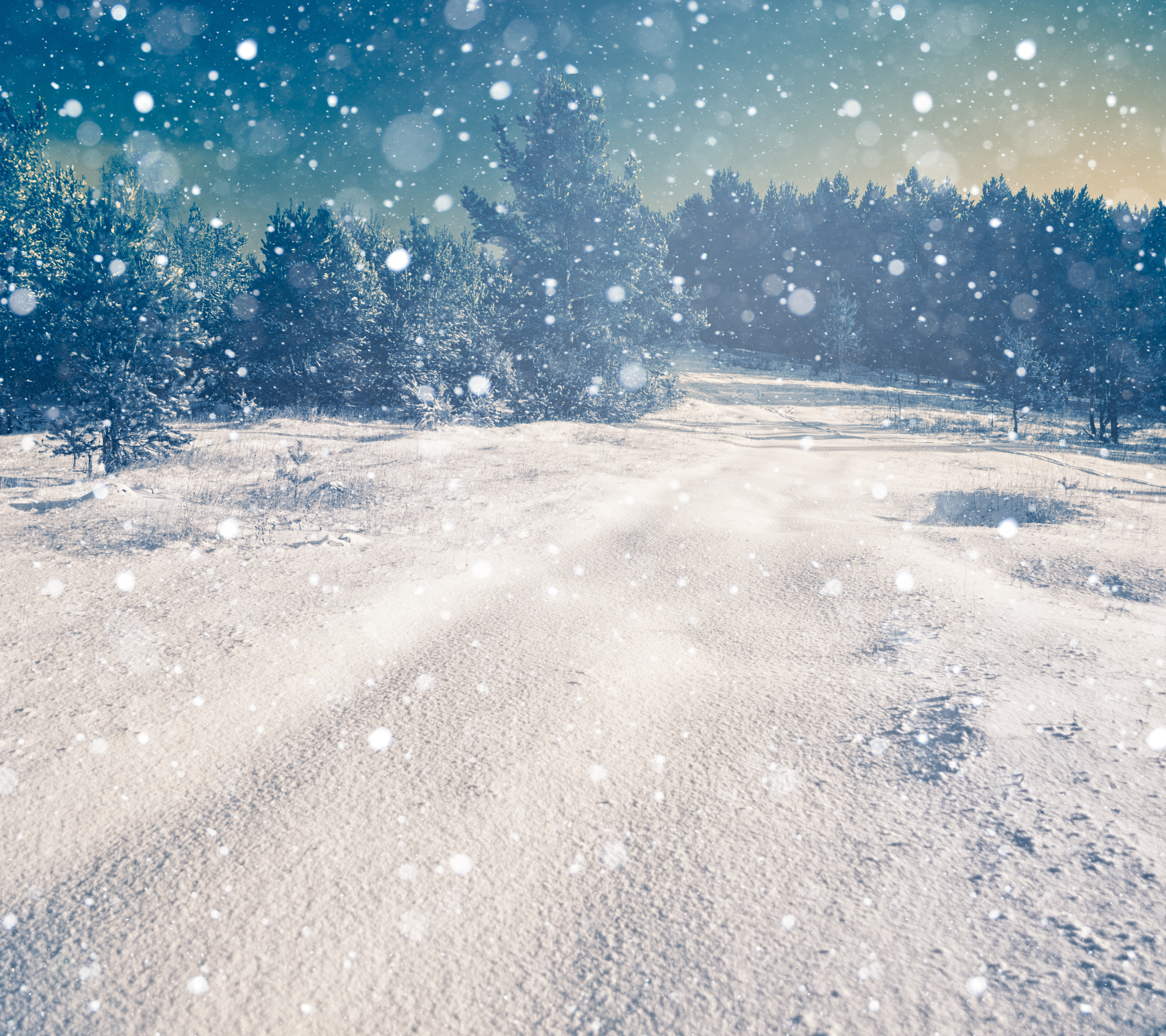 Free download wallpaper Winter, Earth on your PC desktop