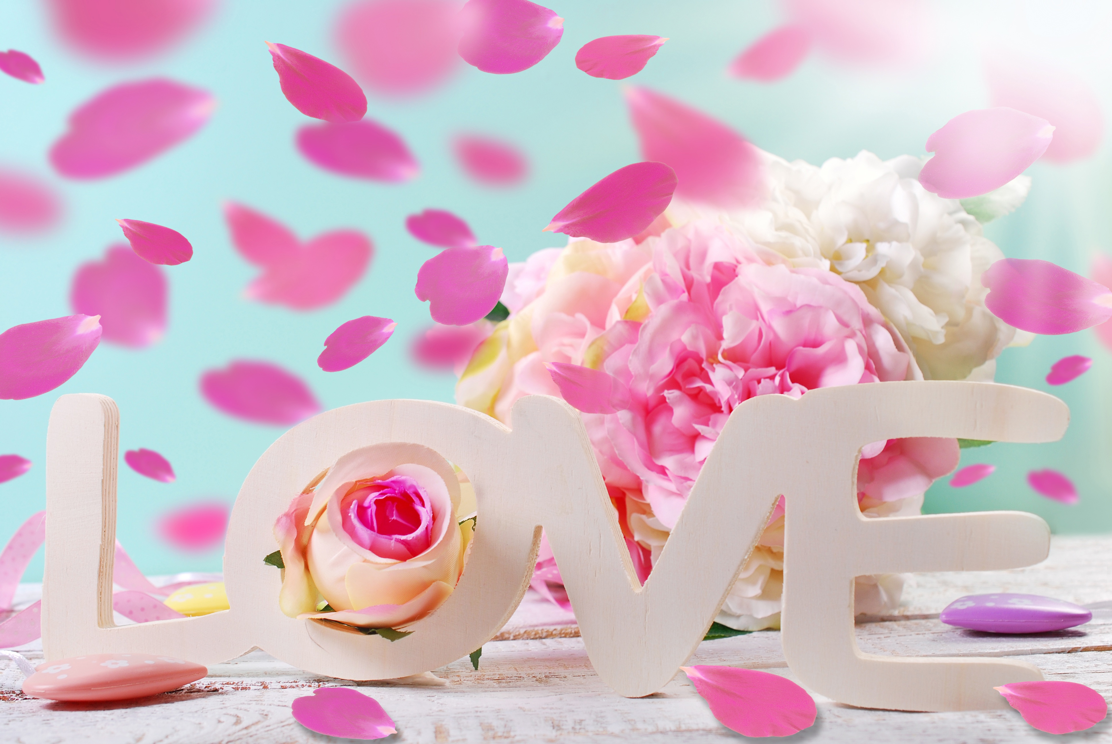 Download mobile wallpaper Love, Flower, Rose, Petal, Photography for free.