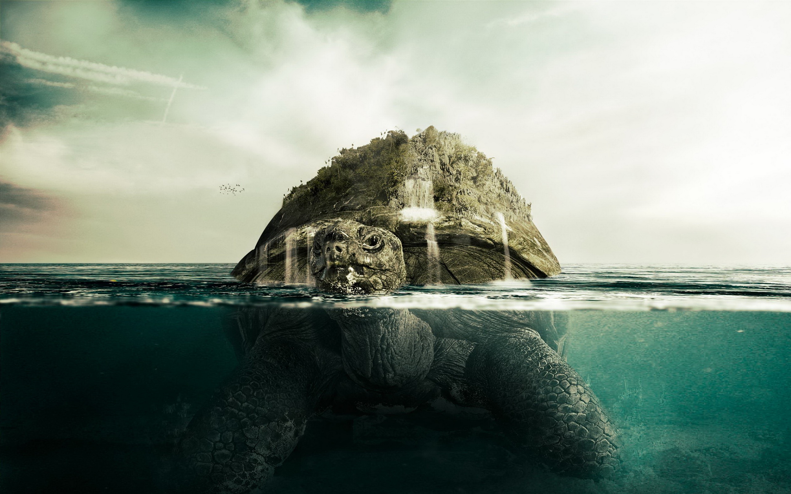 Free download wallpaper Fantasy, Turtle, Fantasy Animals on your PC desktop