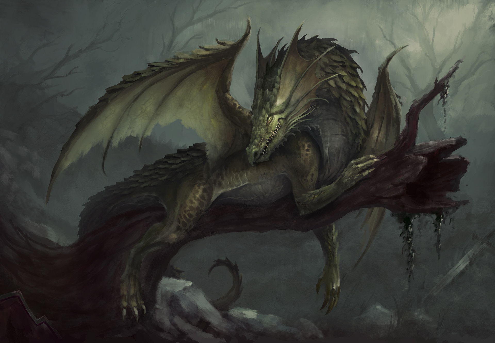 Free download wallpaper Fantasy, Dragon on your PC desktop