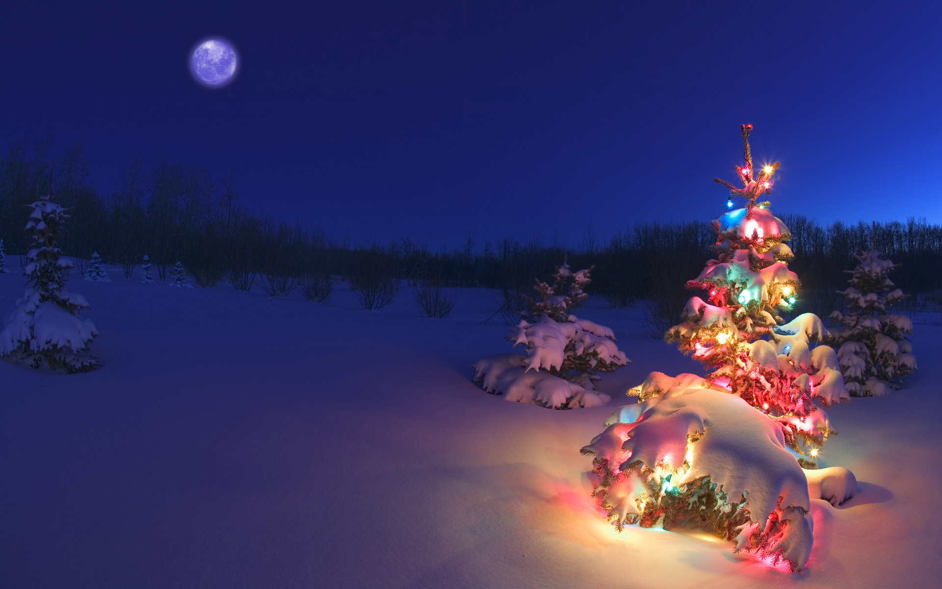 165189壁紙のダウンロードホリデー, クリスマス, クリスマスのあかり, クリスマスツリー, 雪, 冬-スクリーンセーバーと写真を無料で