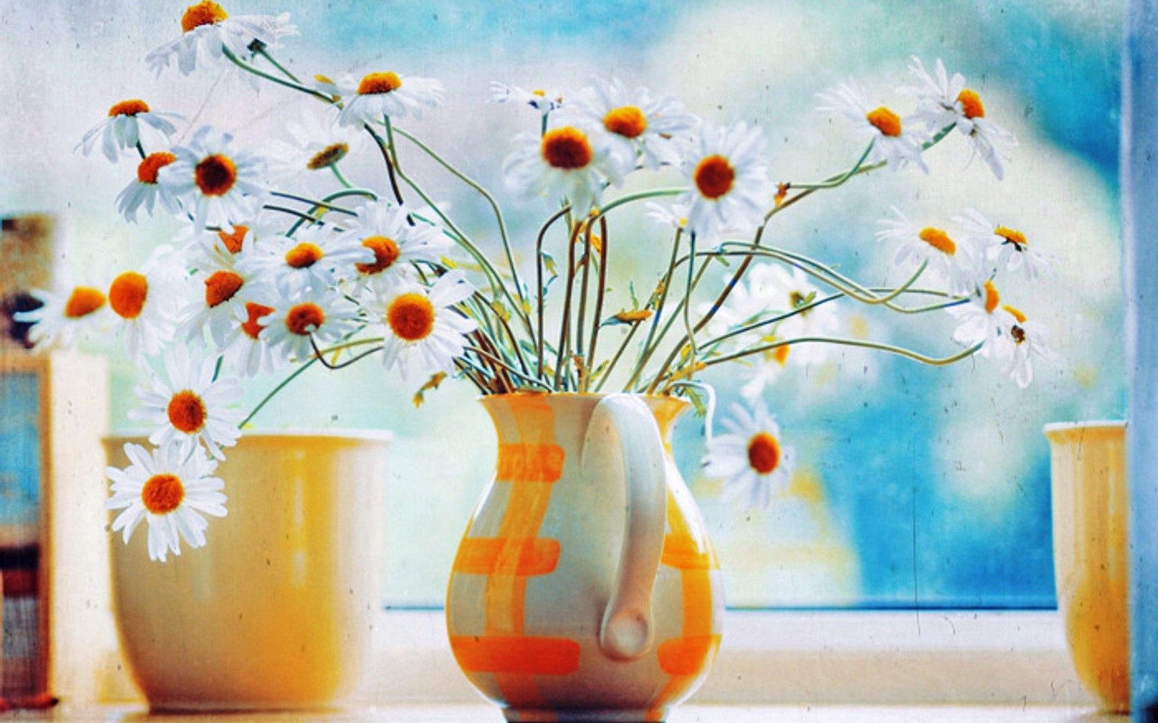 flowers, camomile, bouquet, jug, window Panoramic Wallpaper