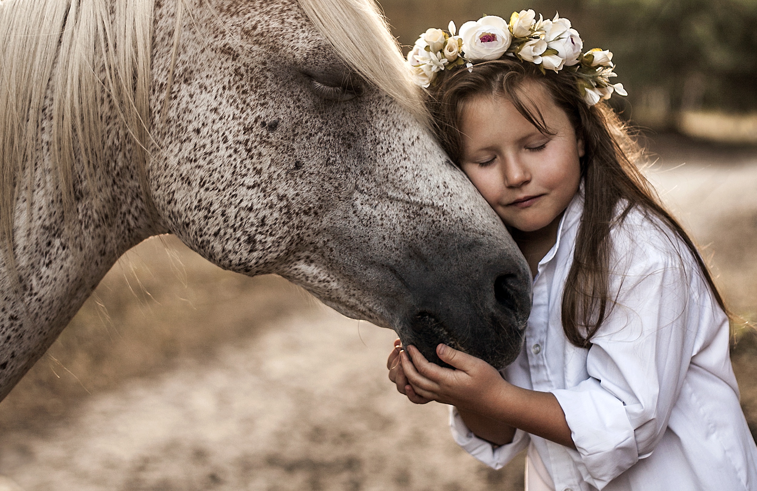 無料モバイル壁紙馬, 花輪, 子, 写真撮影, 愛する, 少女をダウンロードします。