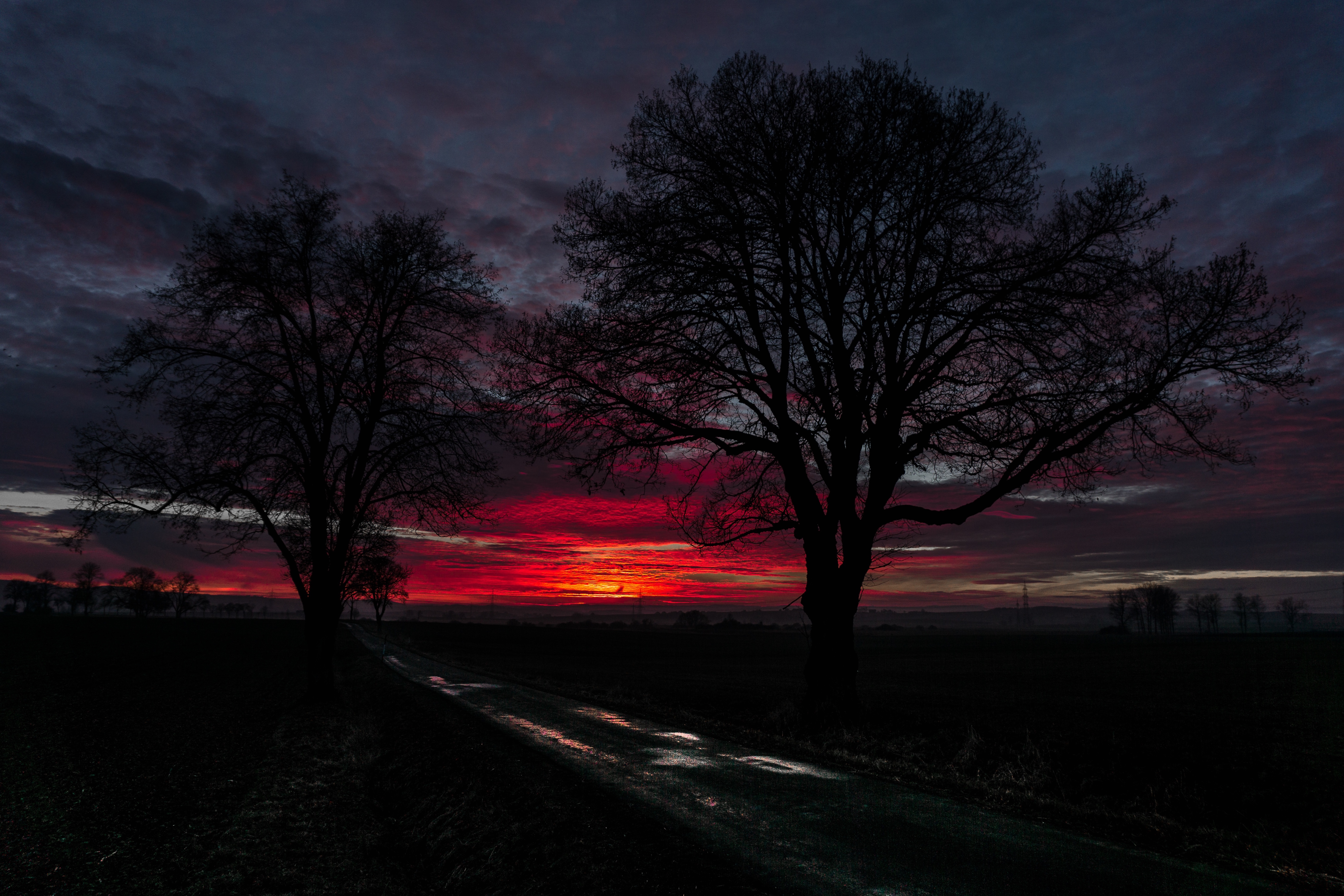 Laden Sie das Horizont, Natur, Clouds, Straße, Bäume, Sunset-Bild kostenlos auf Ihren PC-Desktop herunter