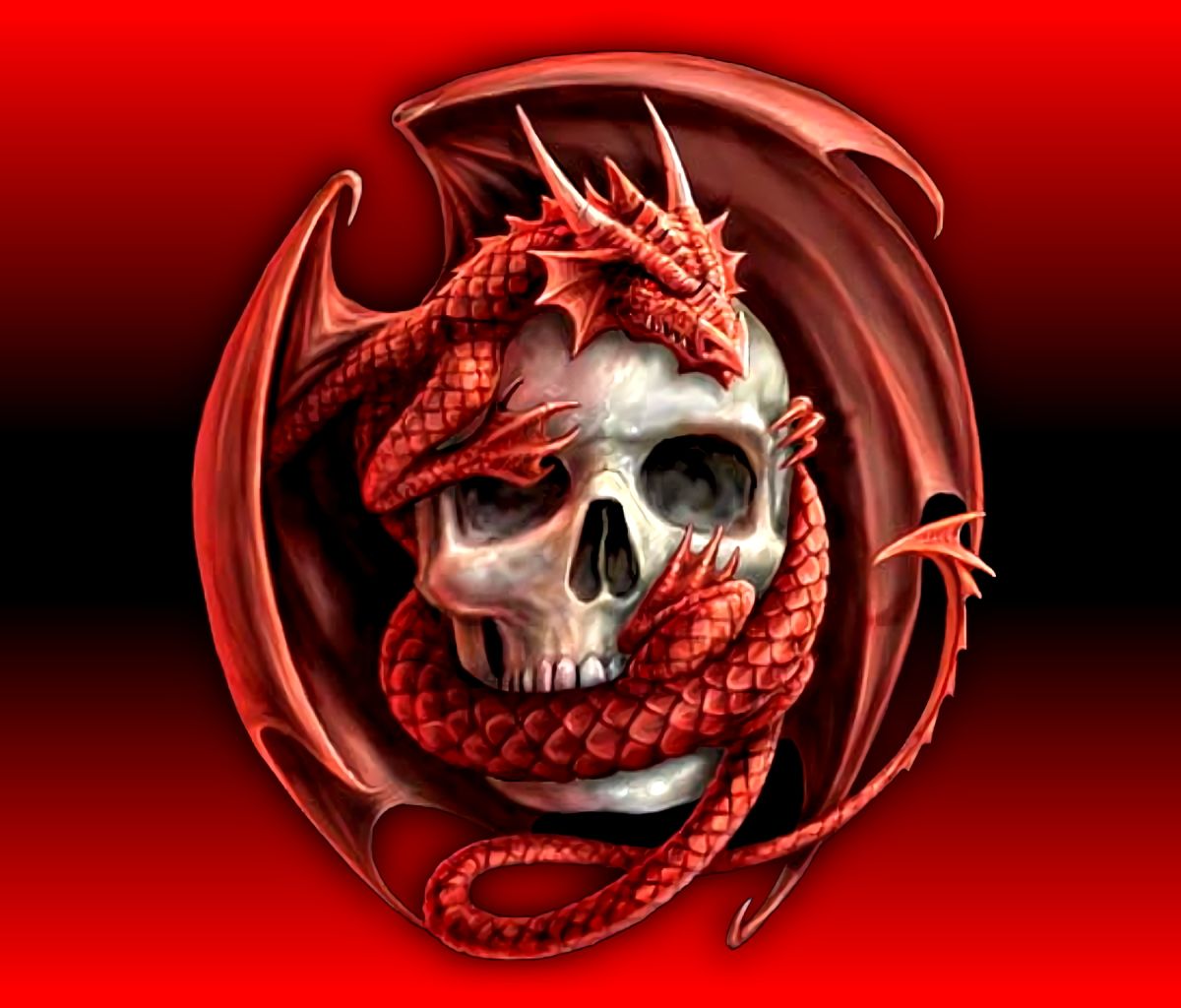Download mobile wallpaper Dark, Dragon, Skull for free.