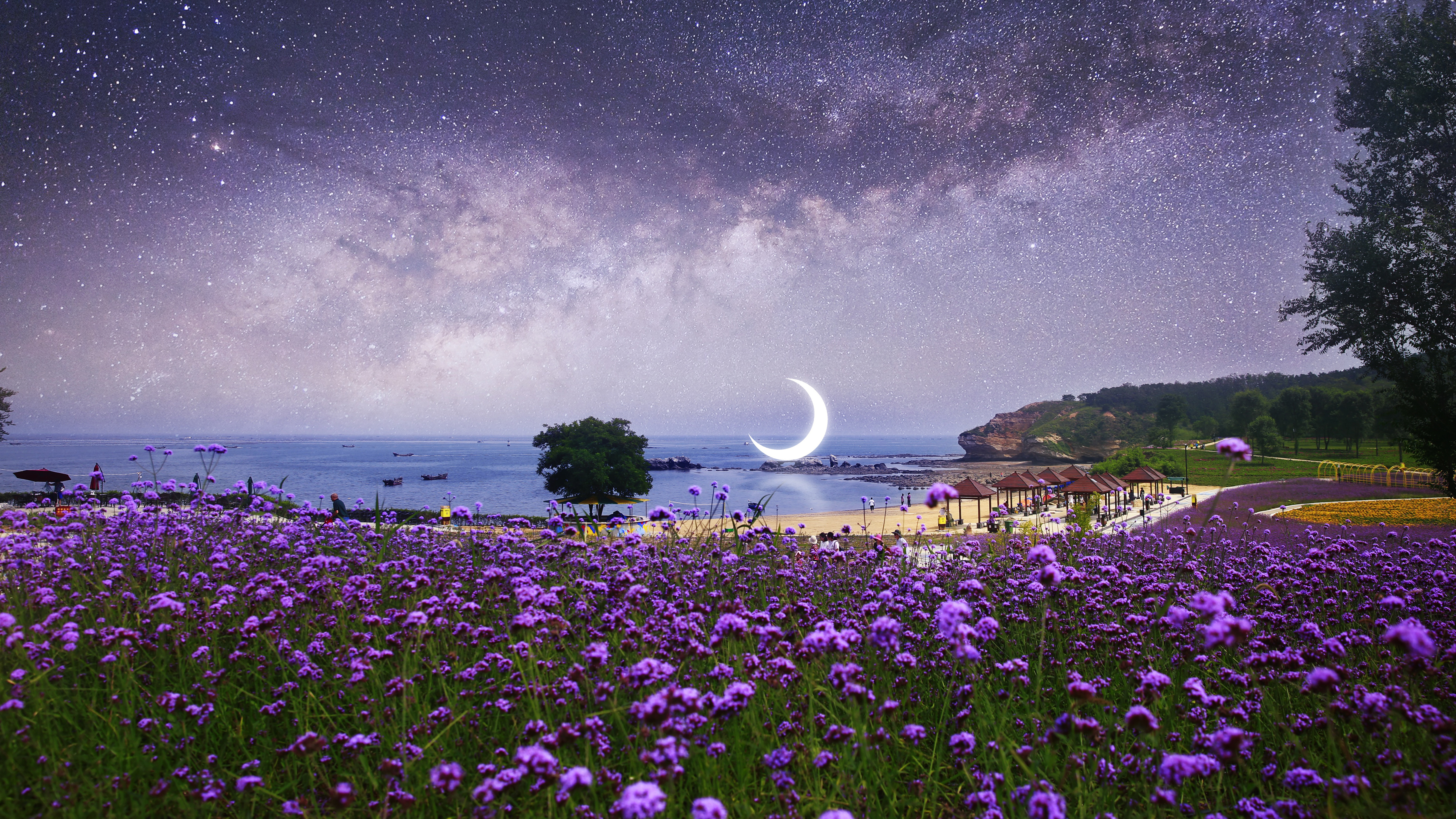 910701 descargar imagen flor purpura, fotografía, manipulación, playa, creciente, cielo estrellado: fondos de pantalla y protectores de pantalla gratis