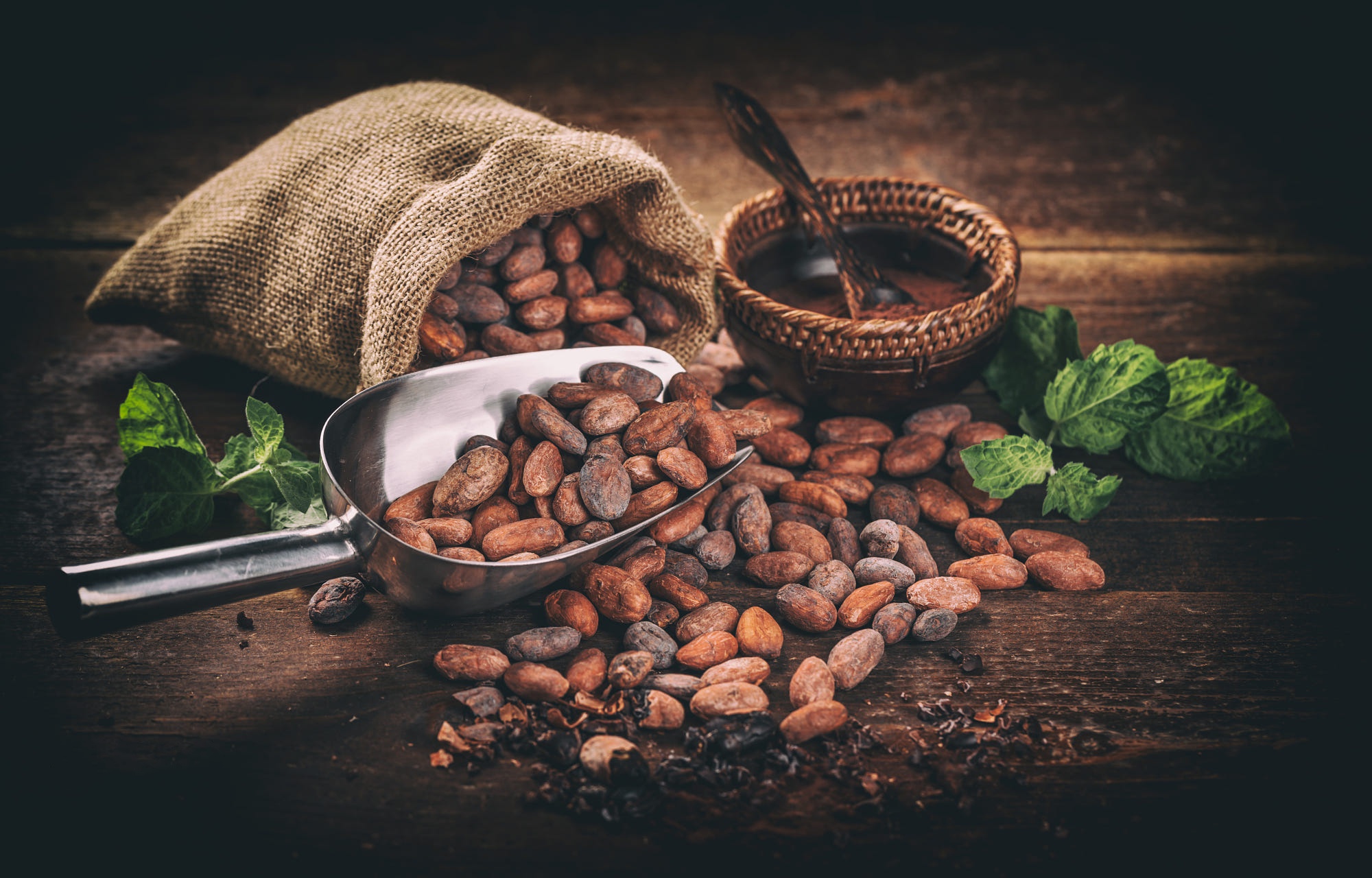 Download mobile wallpaper Food, Chocolate, Cocoa Bean for free.