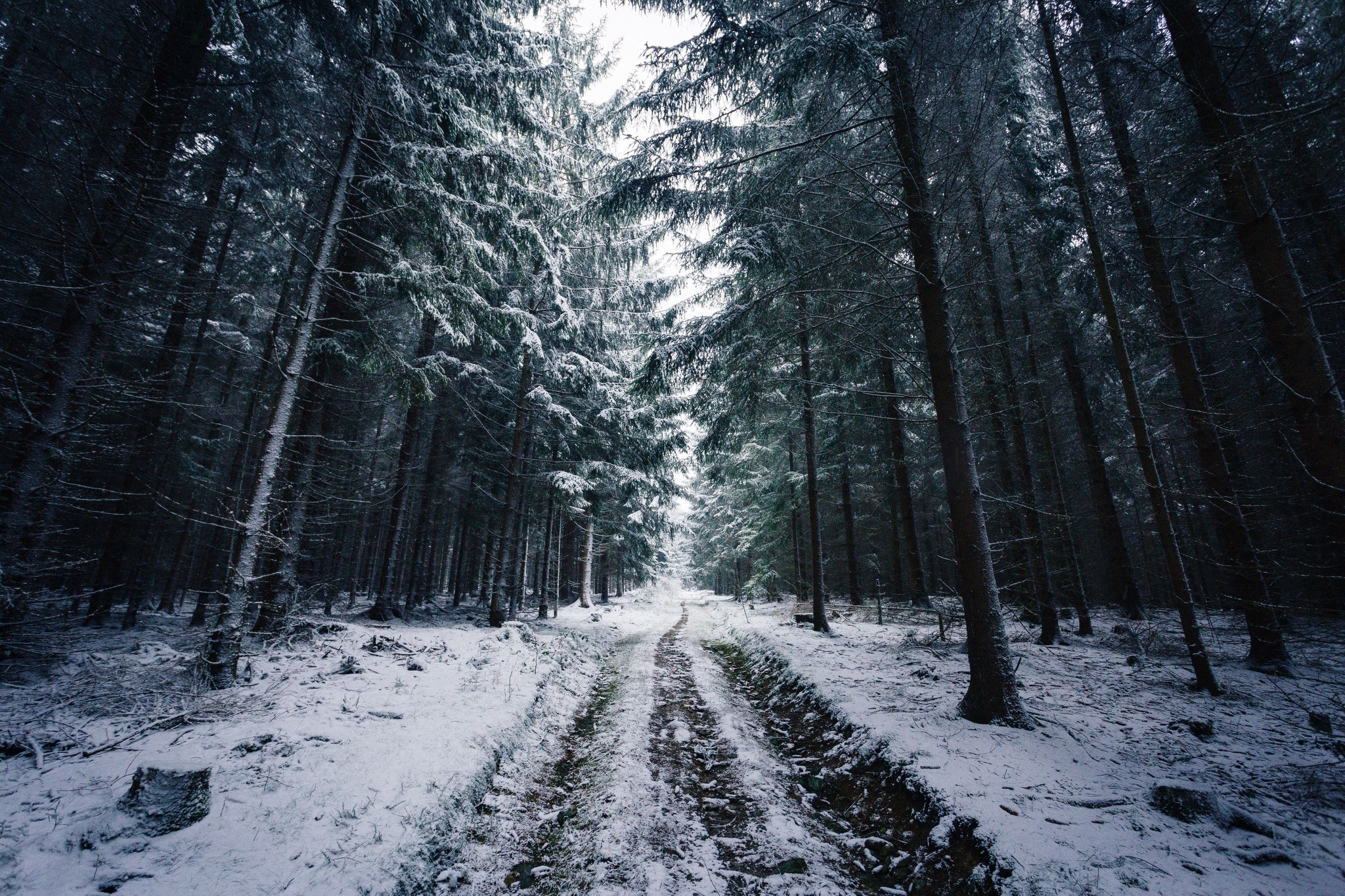 PCデスクトップに冬, 木, 雪, 道, 森, ノルウェー, マンメイド画像を無料でダウンロード