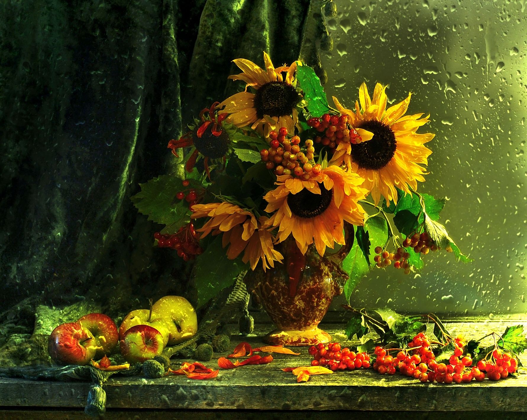 Laden Sie das Regen, Frucht, Apfel, Sonnenblume, Fotografie, Gelbe Blume, Stillleben-Bild kostenlos auf Ihren PC-Desktop herunter