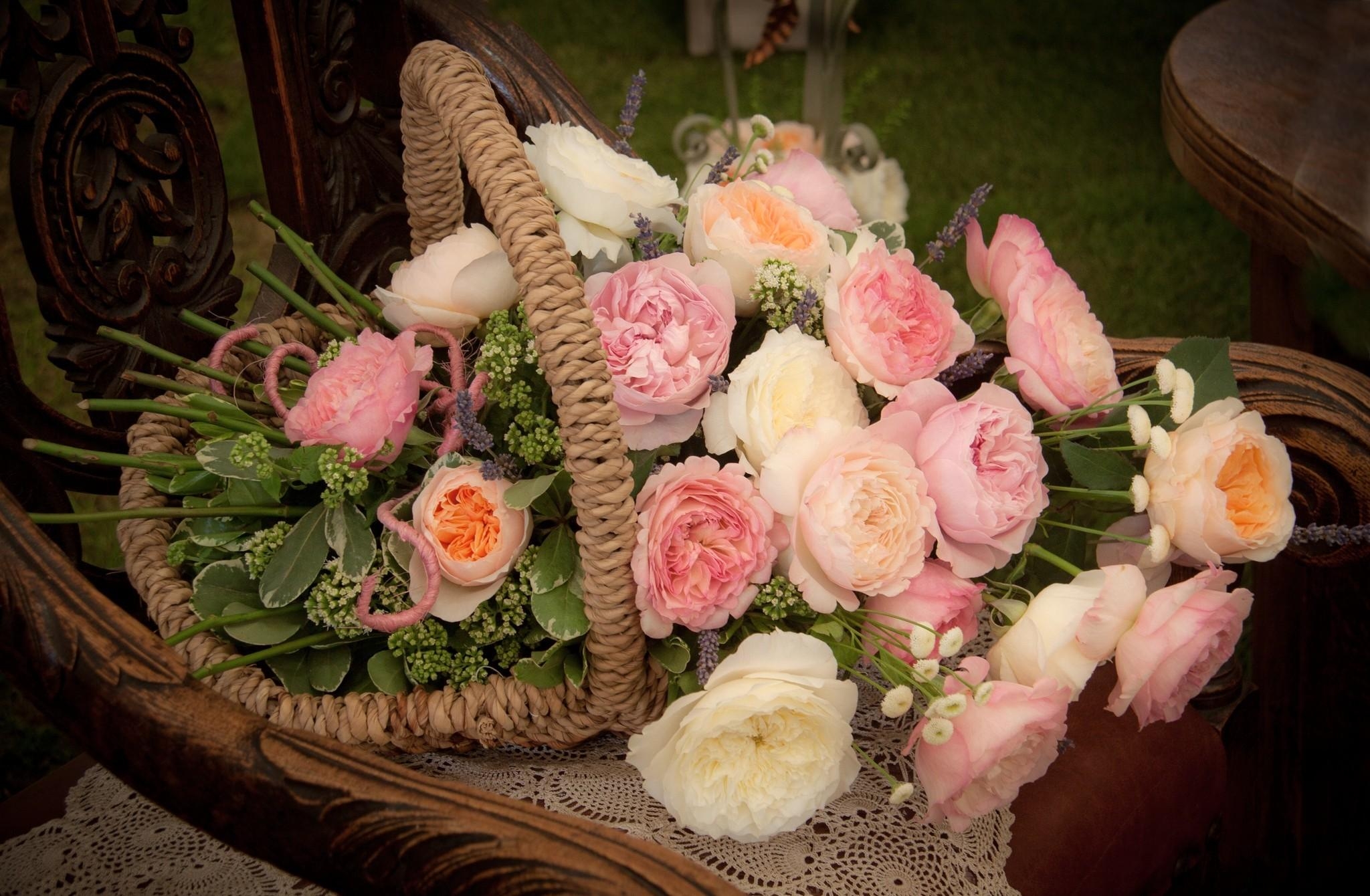 composition, typography, flowers, roses, registration, basket cellphone