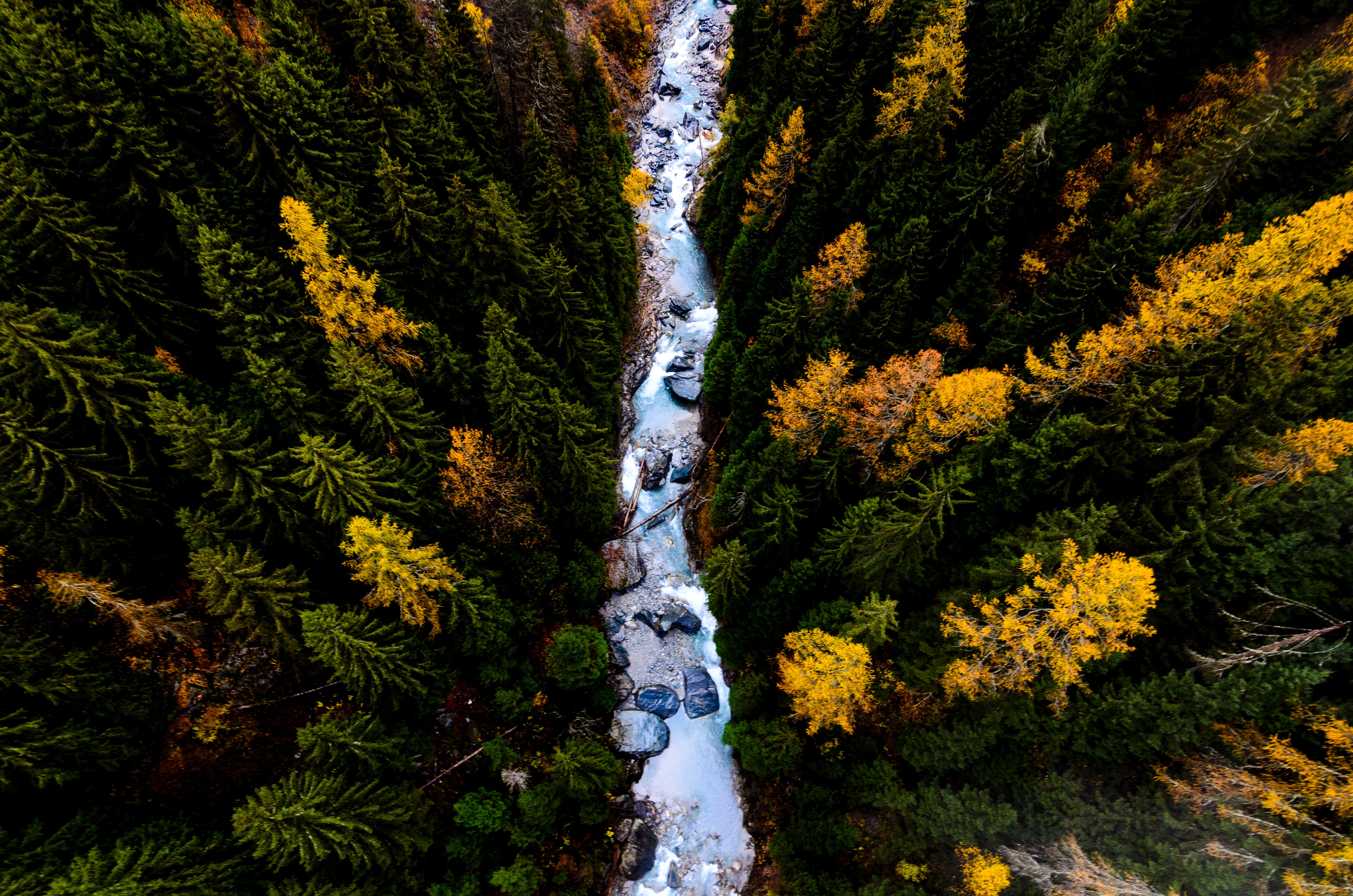 Download mobile wallpaper Nature, Forest, Earth, River, Aerial for free.