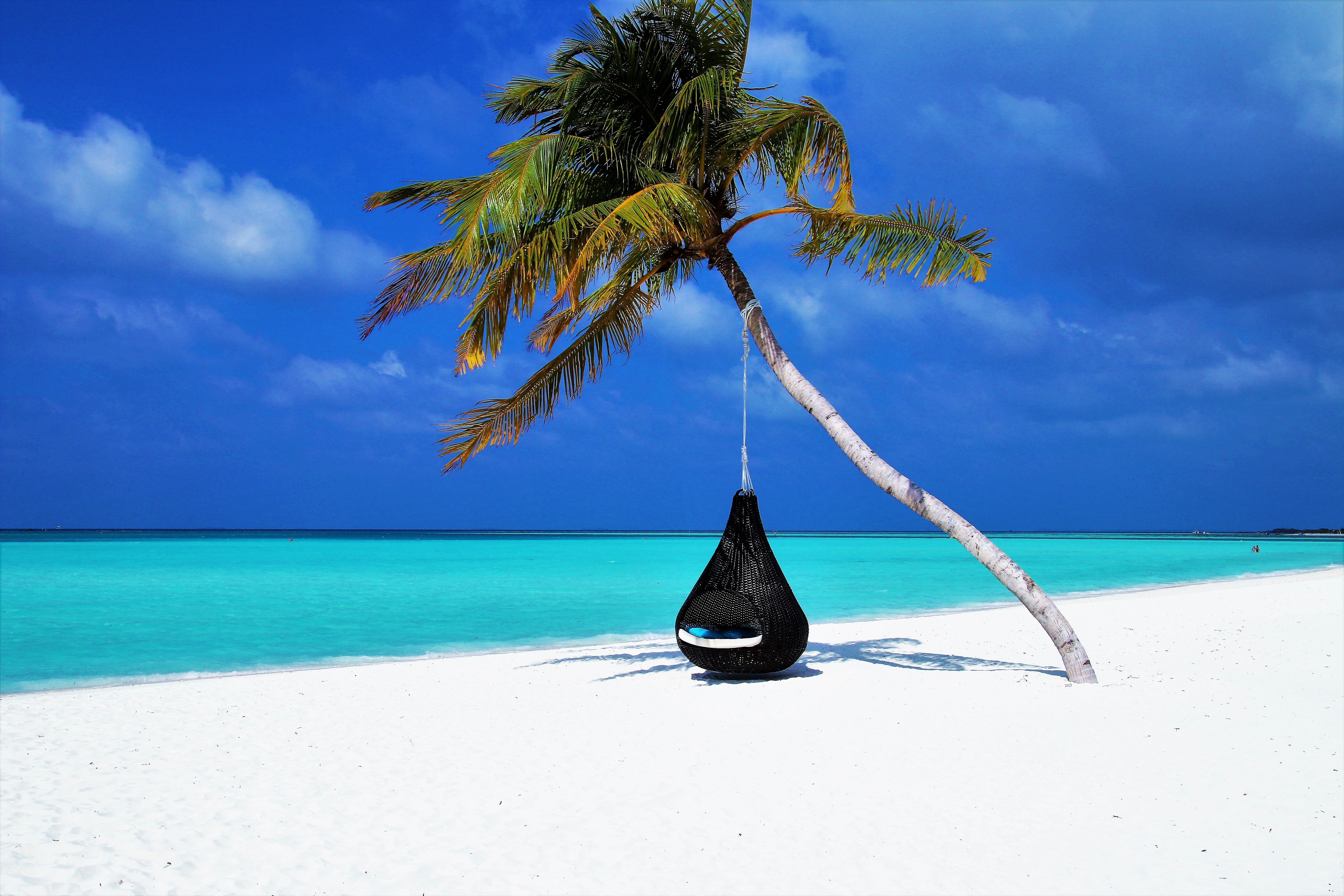 148245 baixar imagens praia, natureza, areia, oceano, palma, palmeira, relaxamento, descansar, recorrer, maldivas, relaxar - papéis de parede e protetores de tela gratuitamente