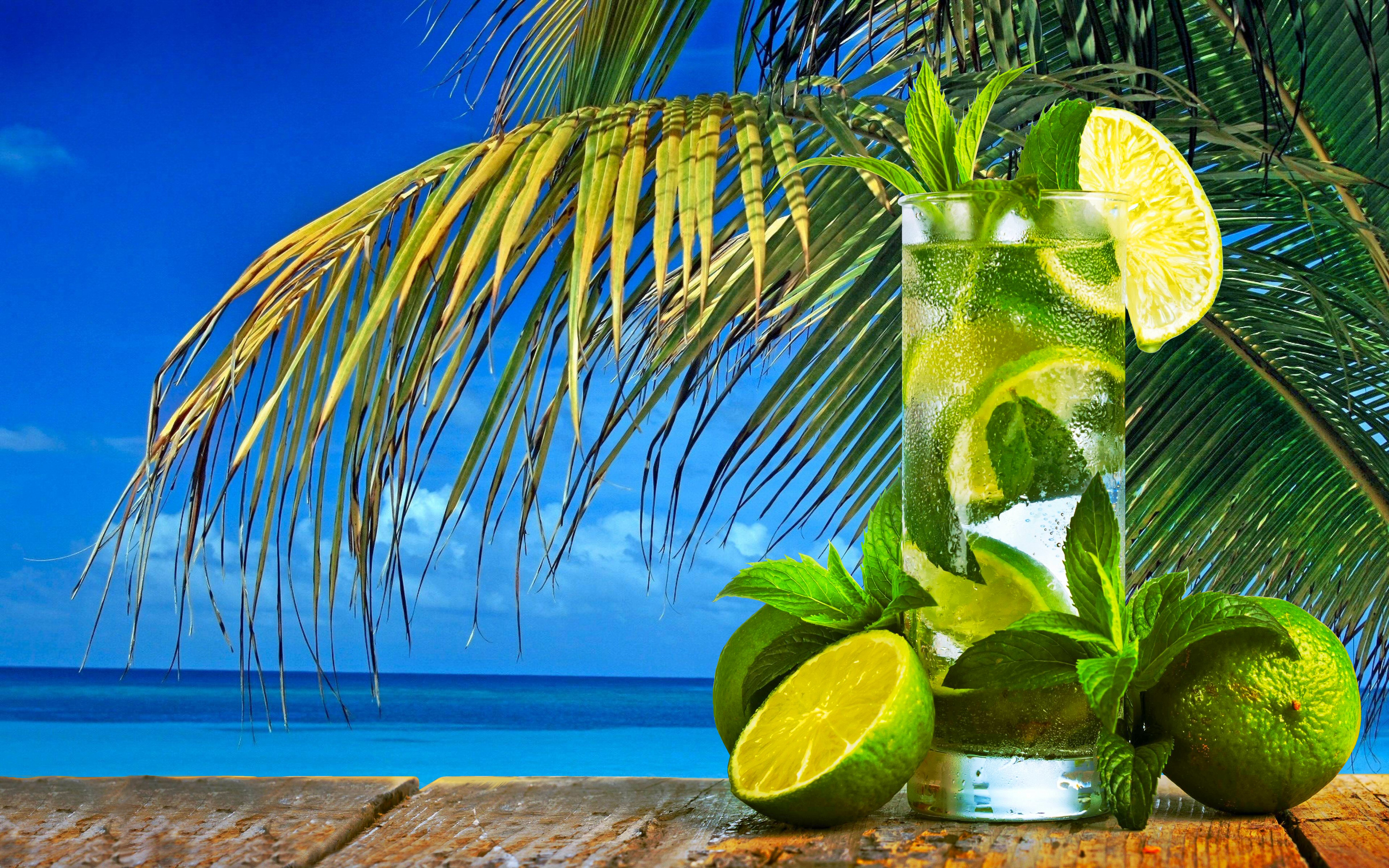 1495793 Hintergrundbild herunterladen glas, nahrungsmittel, cocktail, mojito, palme, tropisch - Bildschirmschoner und Bilder kostenlos