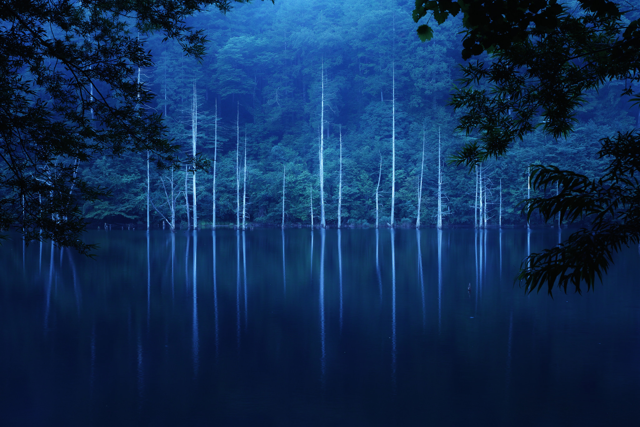 無料モバイル壁紙湖, 霧, 森, 自然, 木, 地球, 夜, 反射をダウンロードします。