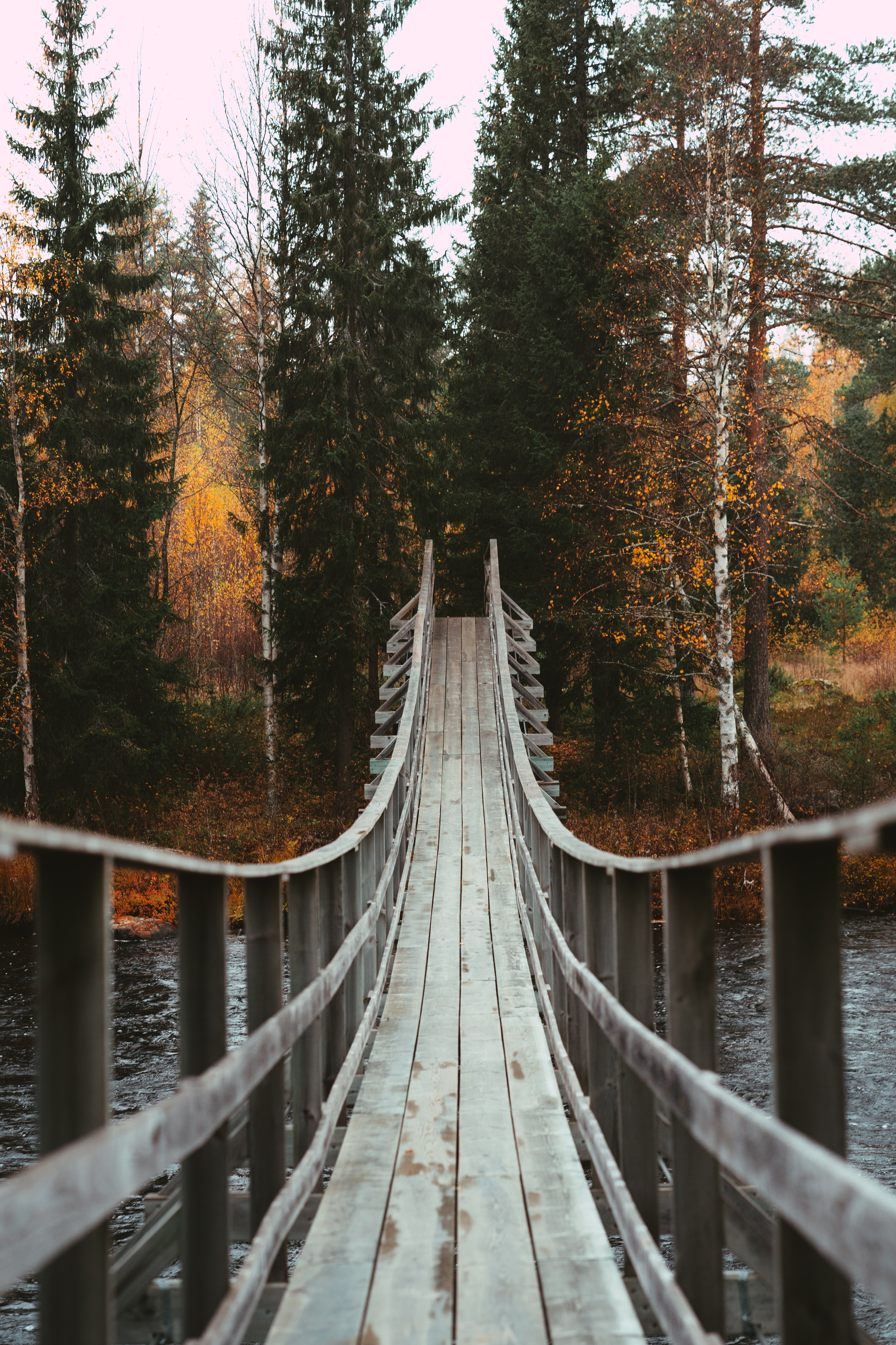 rivers, holidays, trees, autumn, forest, bridge Phone Background