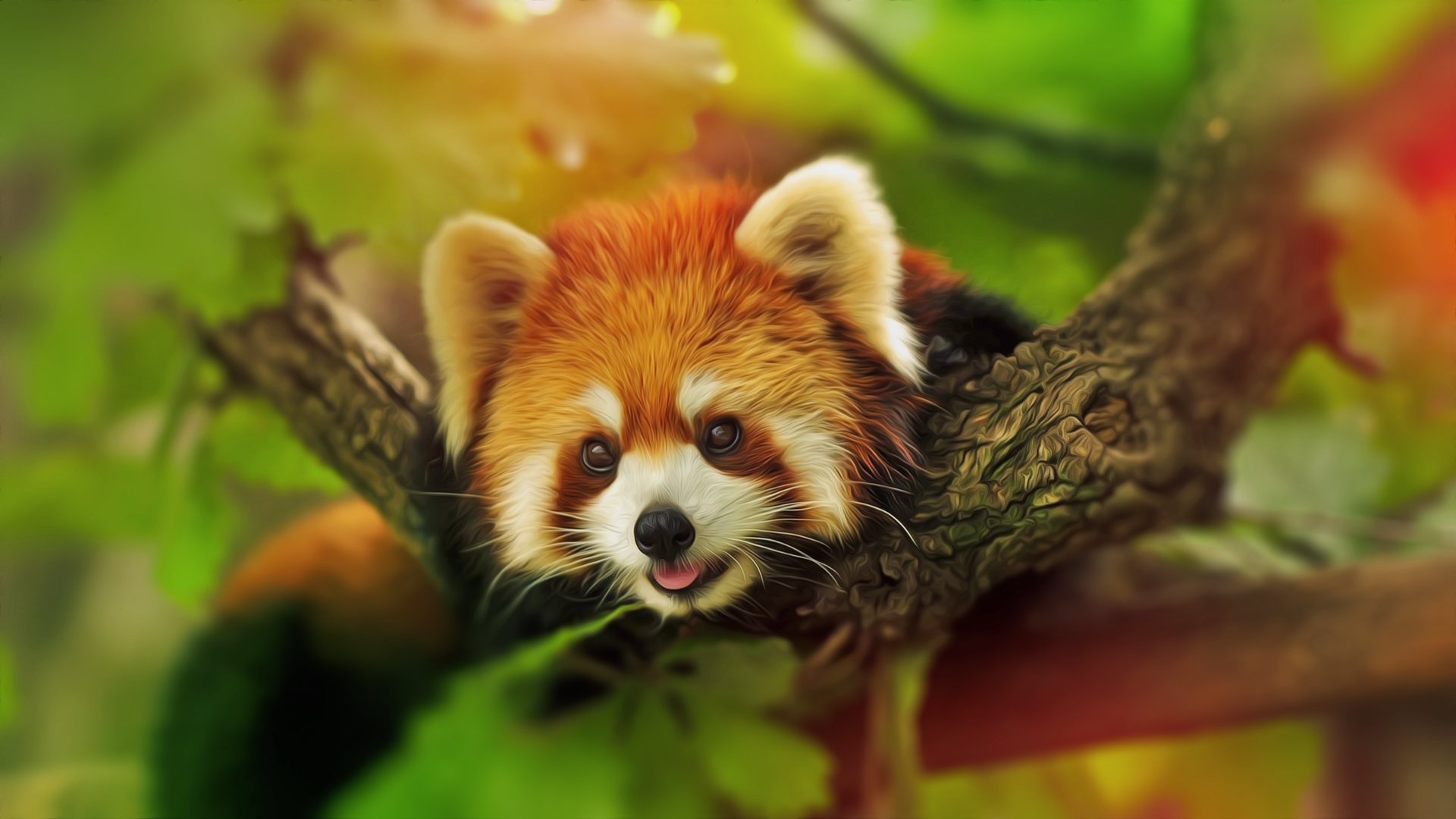 Download mobile wallpaper Tree, Animal, Red Panda for free.