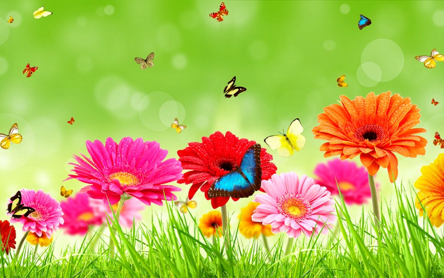740304 завантажити шпалери весна, художній, метелик, впритул, гербера, трава - заставки і картинки безкоштовно