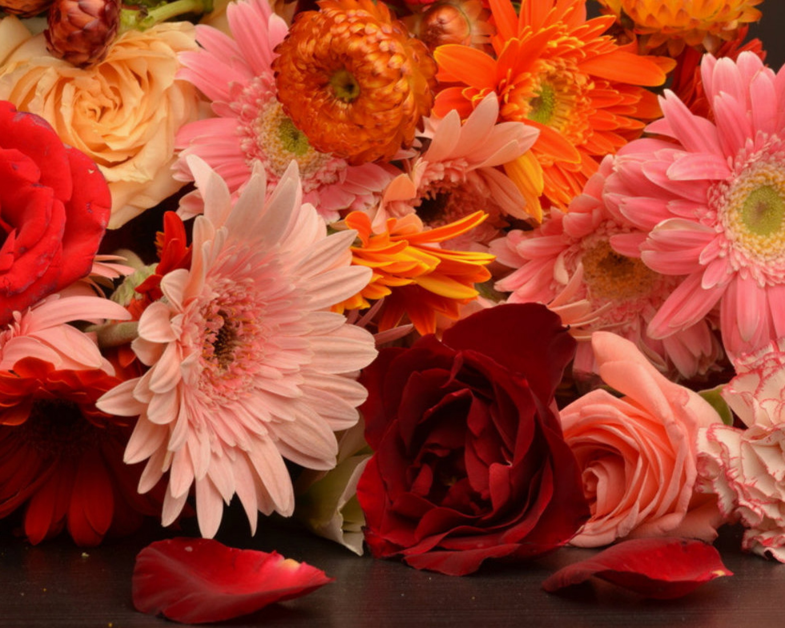 Handy-Wallpaper Herbst, Blume, Erde, Farben, Bunt, Erde/natur, Pinke Blume, Orangene Blume kostenlos herunterladen.