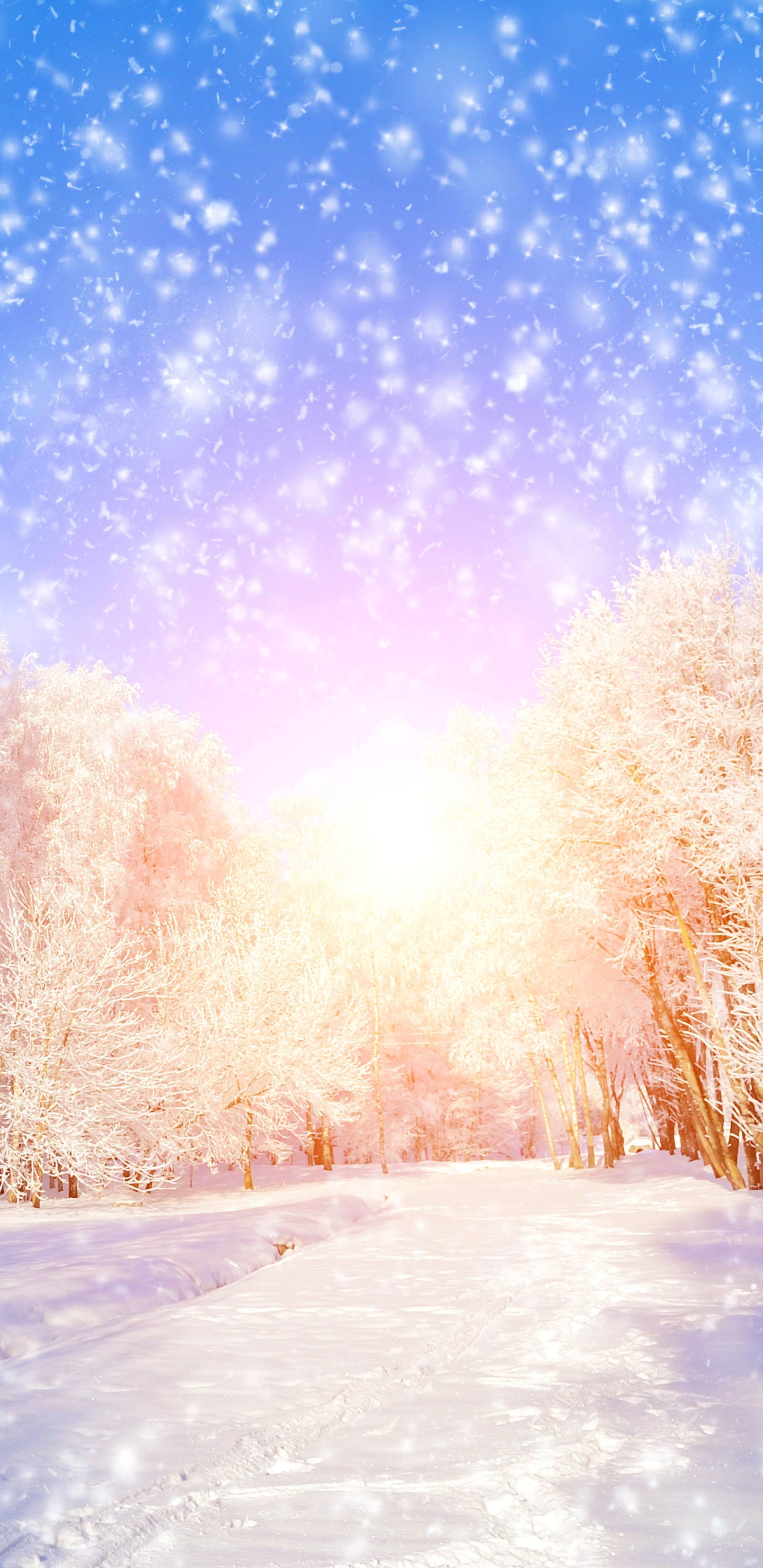 Download mobile wallpaper Winter, Nature, Snow, Earth for free.