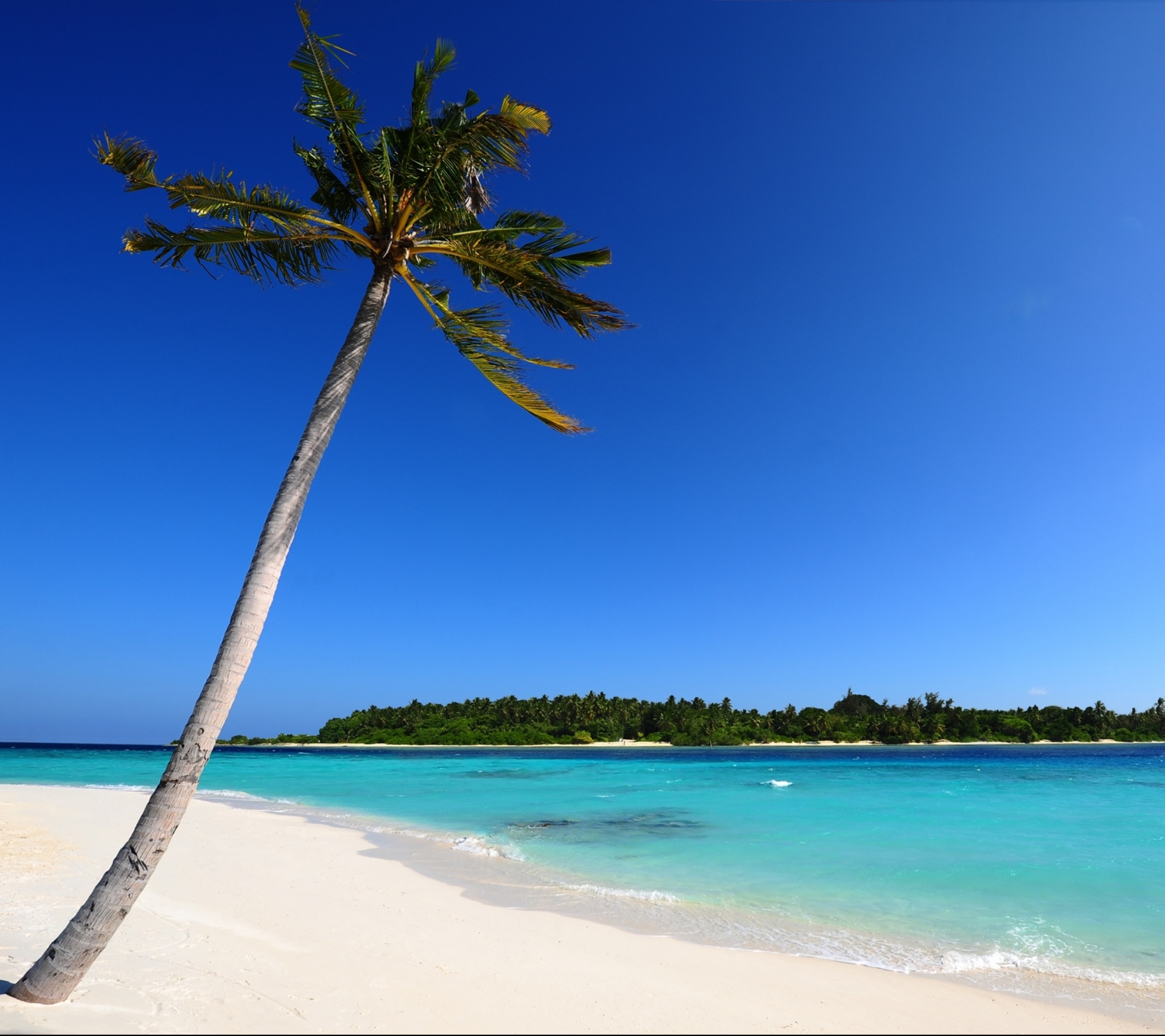 Скачать картинку Небо, Пляж, Песок, Пальмы, Океан, Синий, Пальма, Остров, Тропический, Мальдивы, Земля/природа в телефон бесплатно.