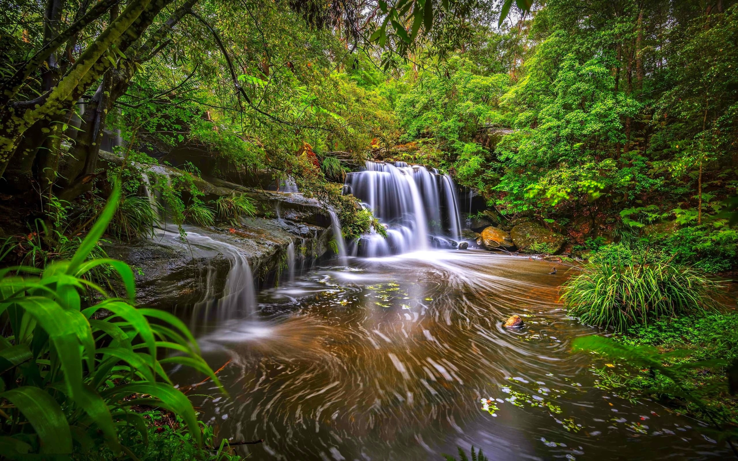 Скачать картинку Водопад, Лес, Ручей, Земля/природа в телефон бесплатно.
