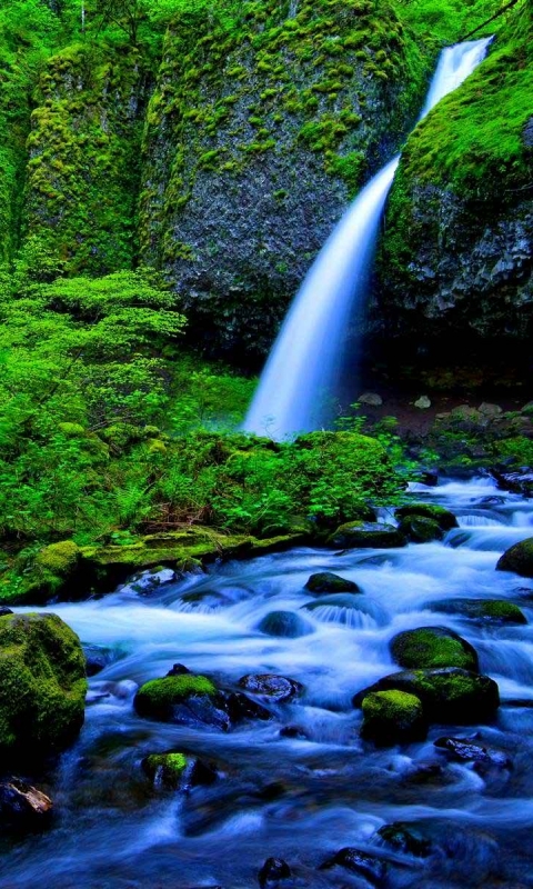 Download mobile wallpaper Waterfalls, Waterfall, Forest, Tree, Earth, Moss, Stream for free.