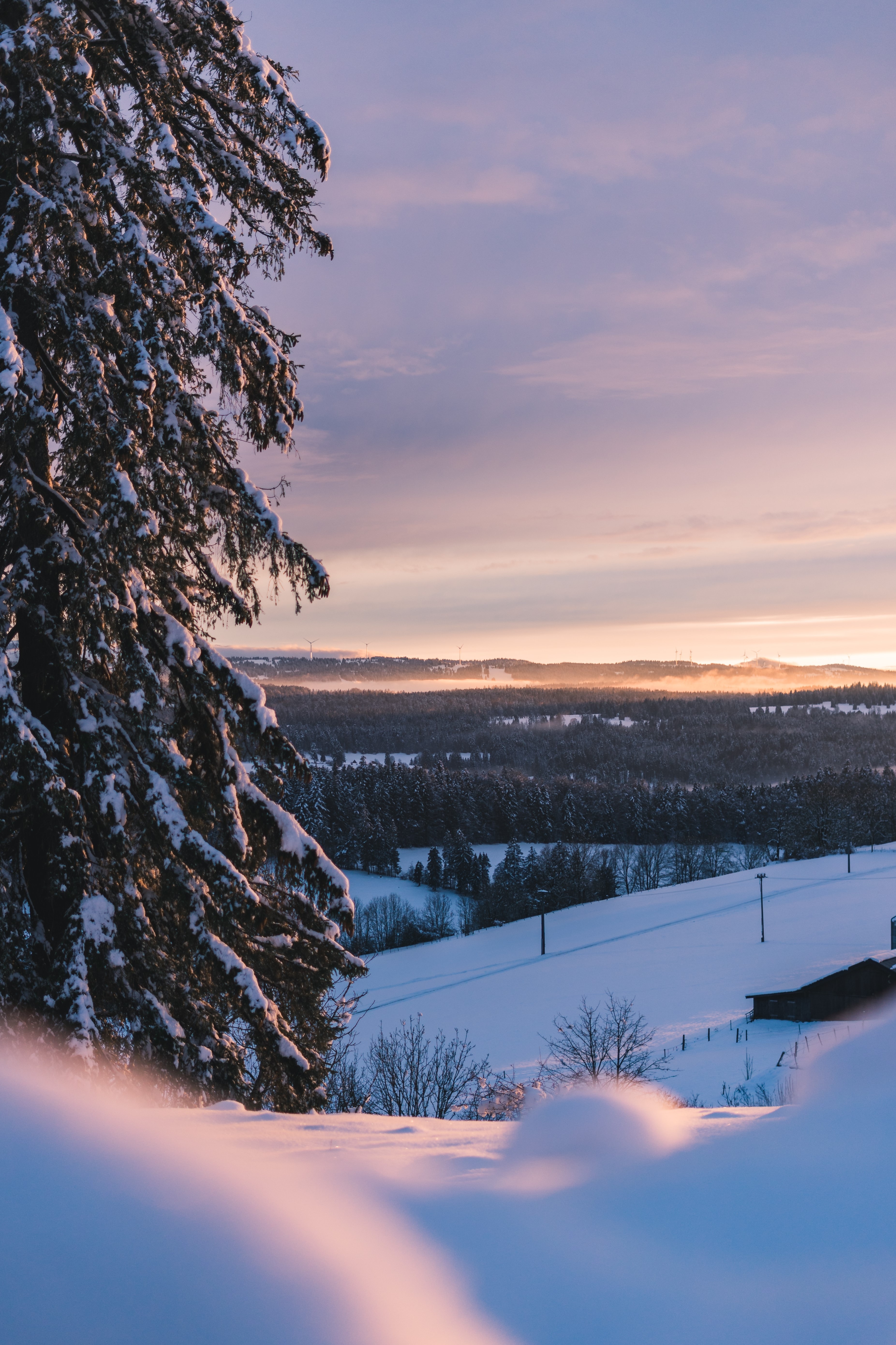 PCデスクトップに風景, 冬, 自然, 木, 雪, 丘画像を無料でダウンロード